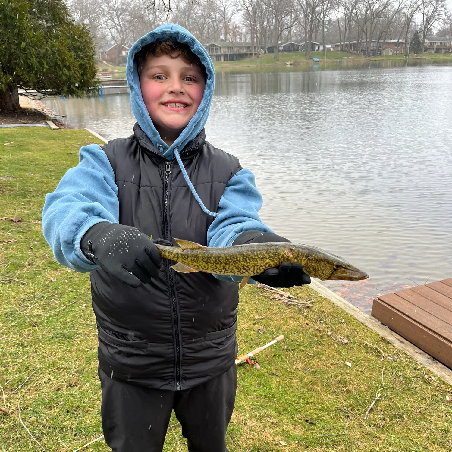 The most recent Grass pickerel catches on Fishbrain
