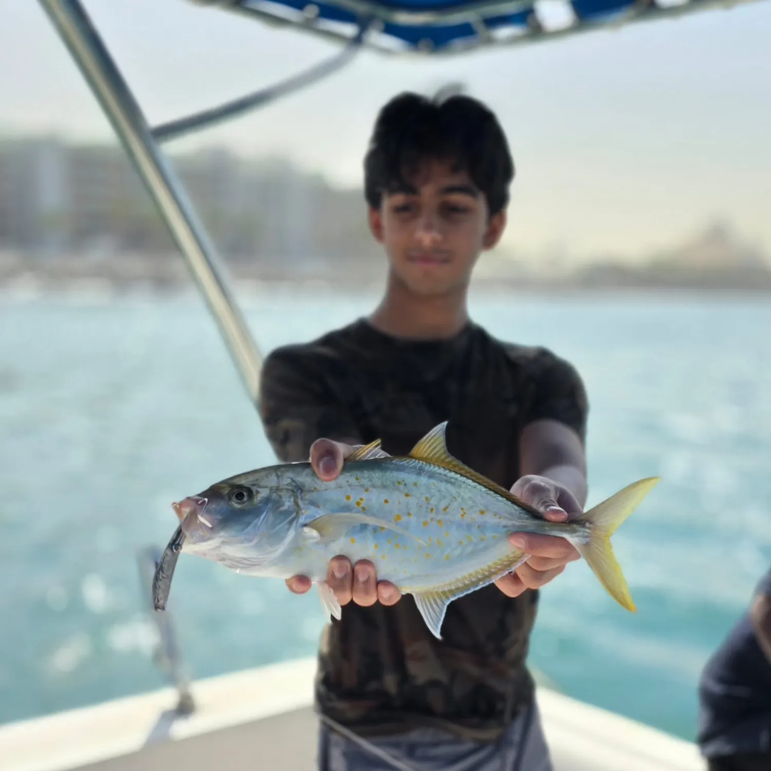The most recent Yellowspotted trevally catches on Fishbrain