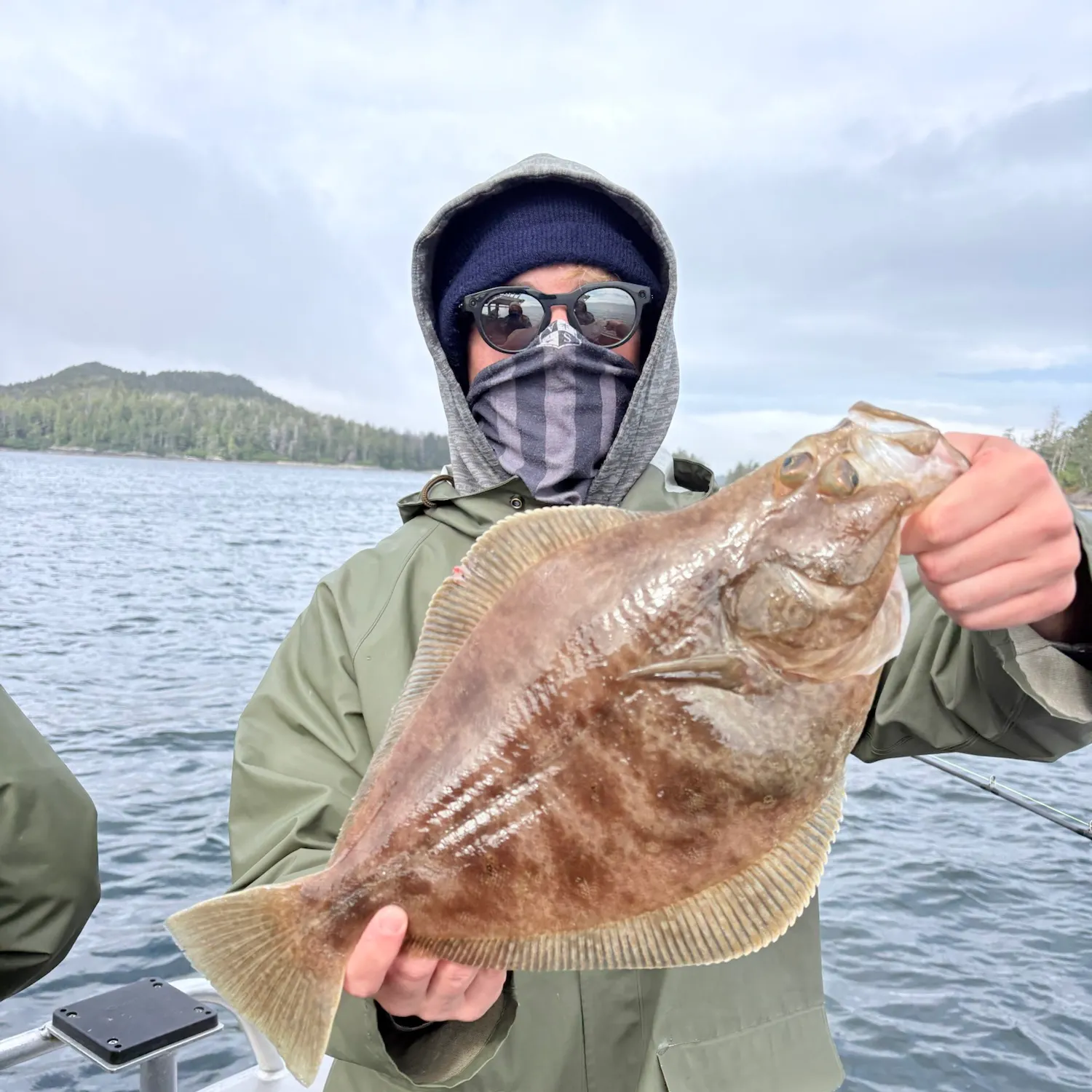 The most recent Southern rock sole catches on Fishbrain