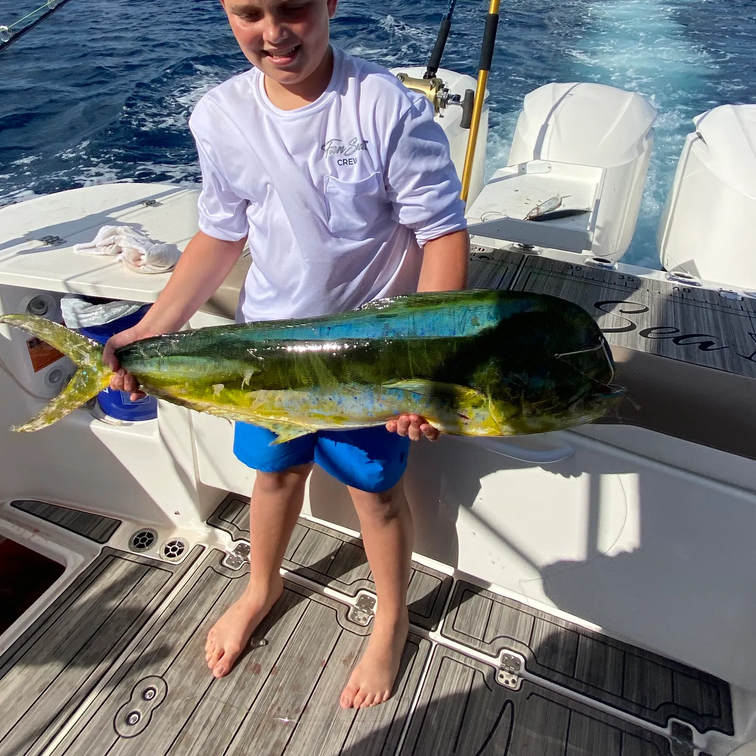 The most recent Common dolphinfish catches on Fishbrain