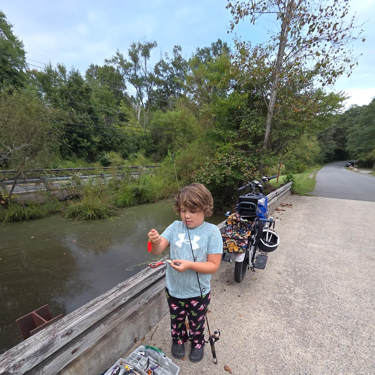 Bluegill caught on Fishbrain