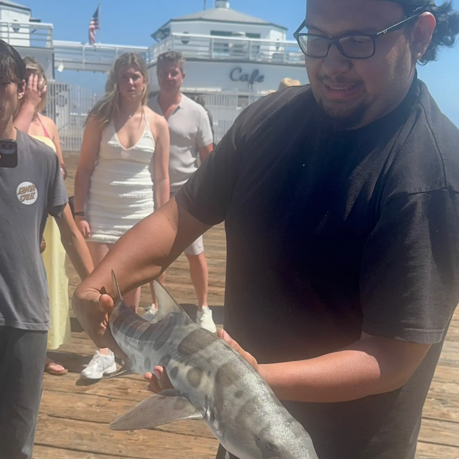 The most recent Leopard shark catches on Fishbrain