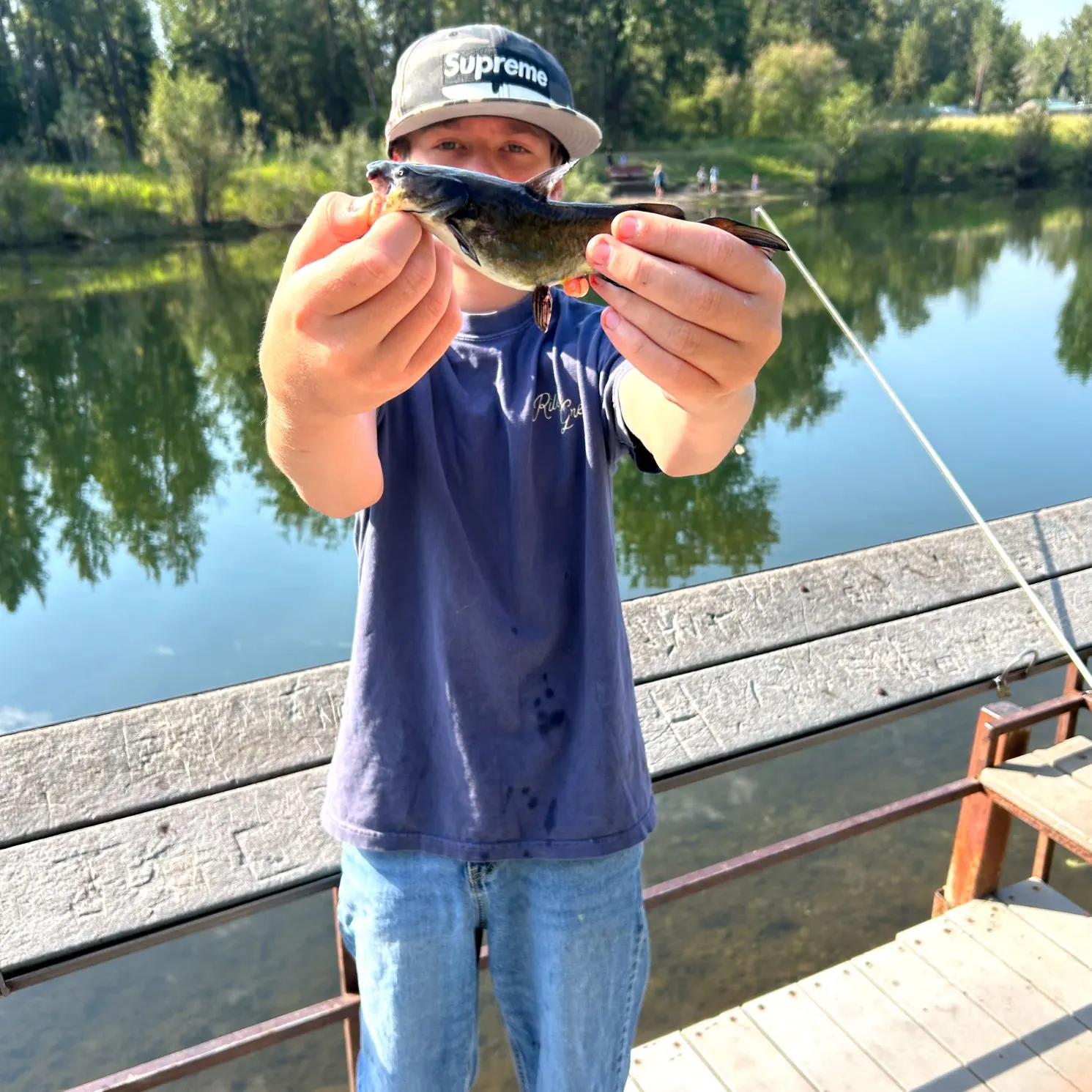 Black bullhead caught on Fishbrain