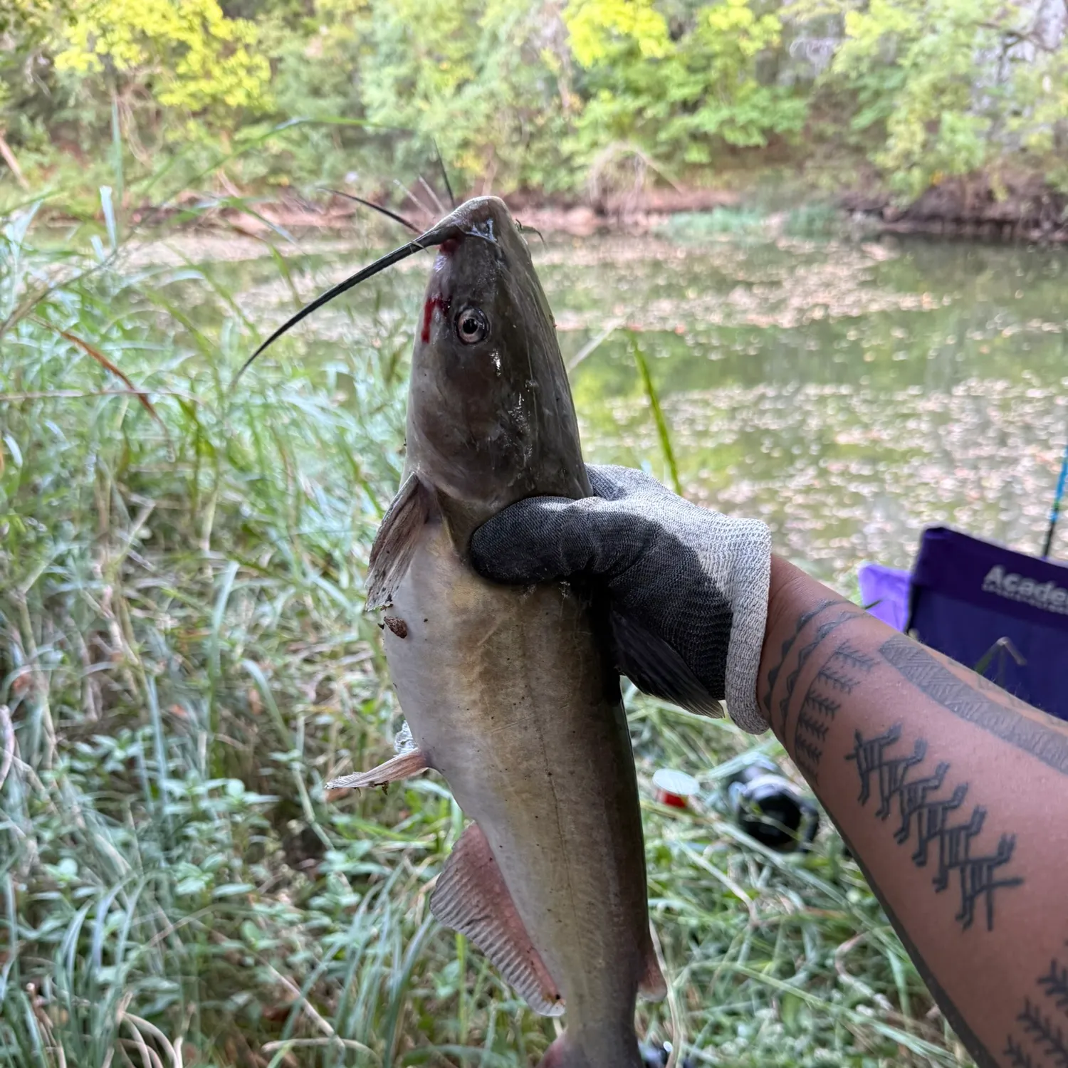catch
