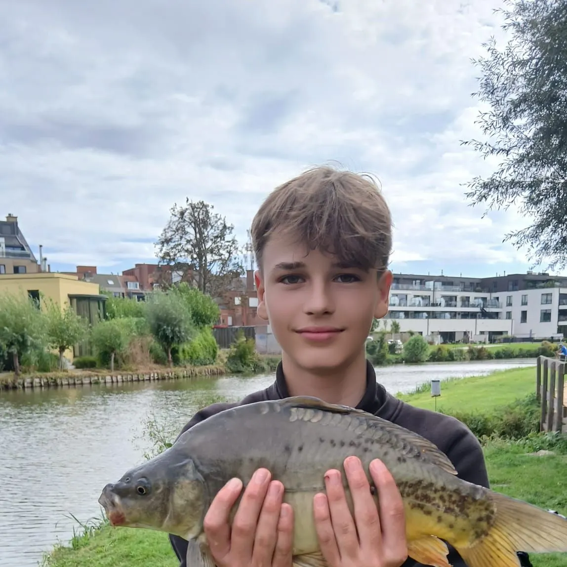 Leather carp caught on Fishbrain
