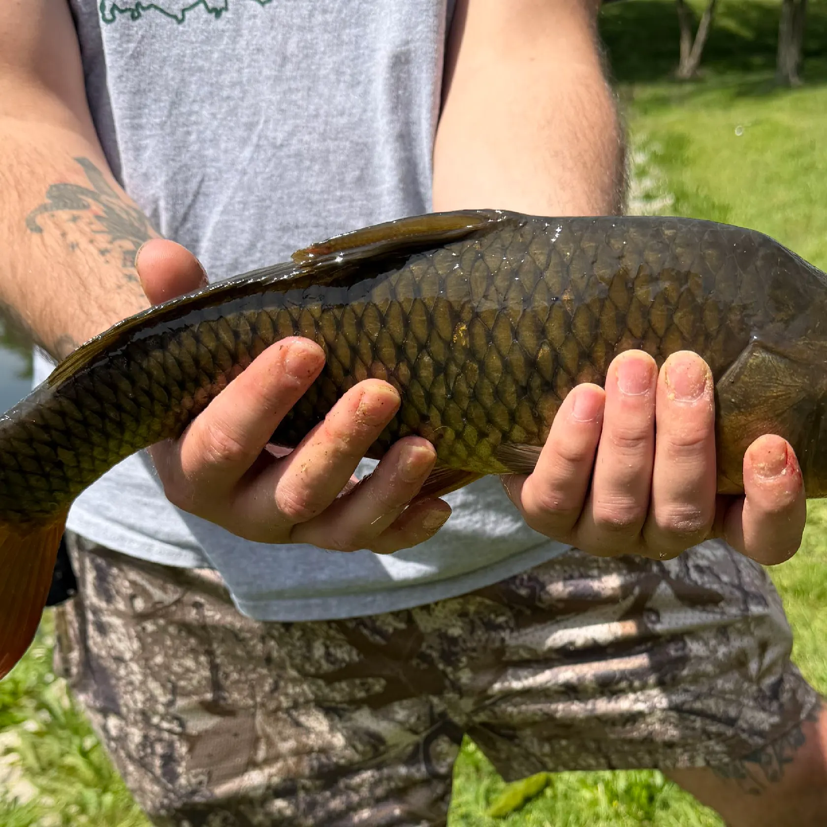 catch