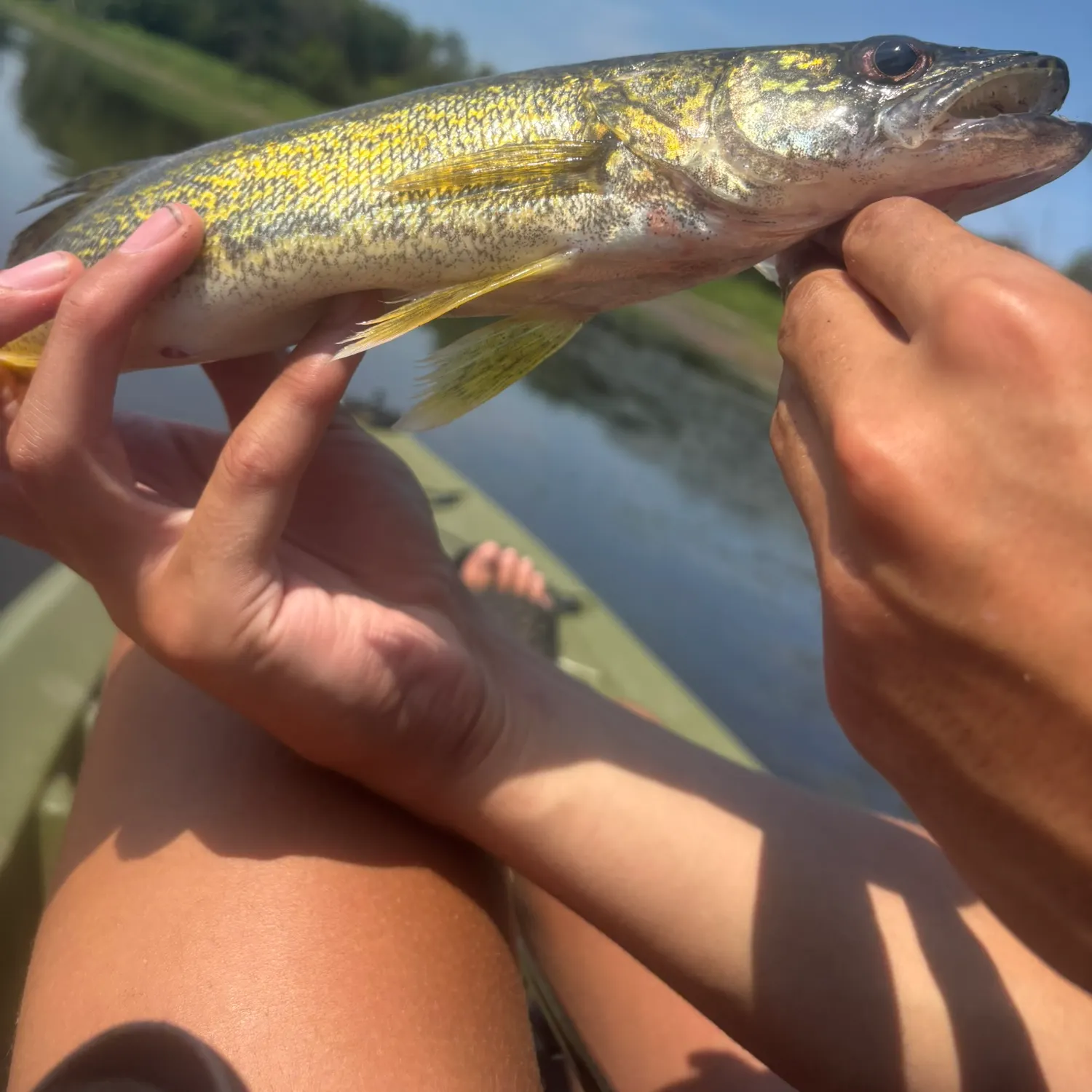 catch