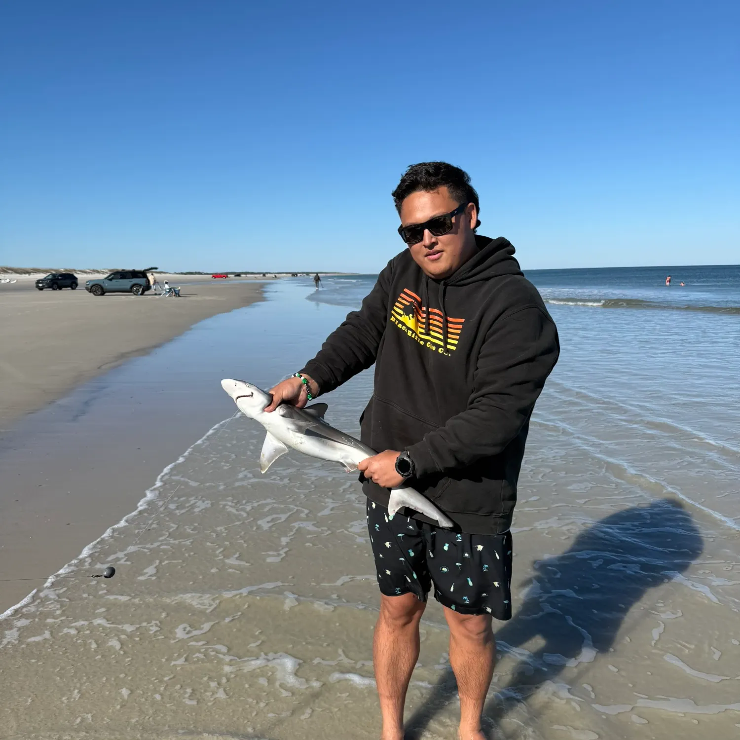 The most recent Dusky smooth-hound catches on Fishbrain