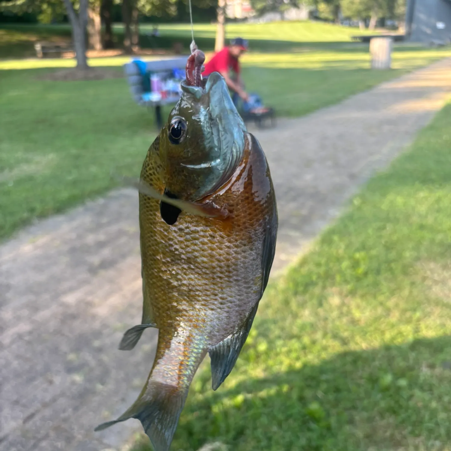catch