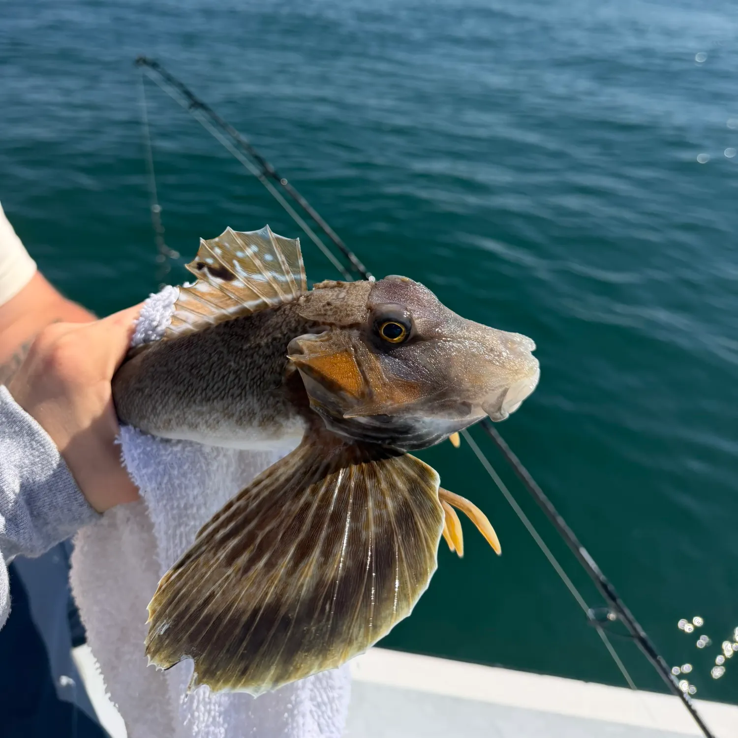 catch