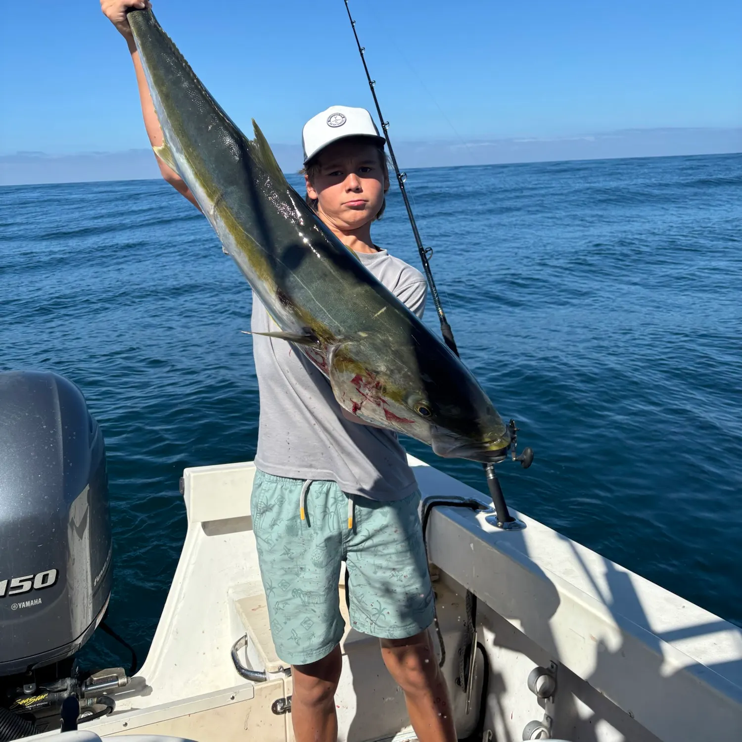 The most recent California yellowtail amberjack catches on Fishbrain