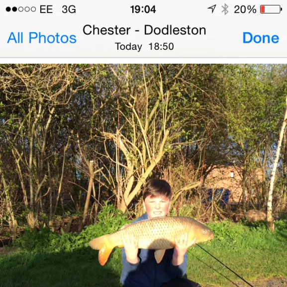 recently logged catches