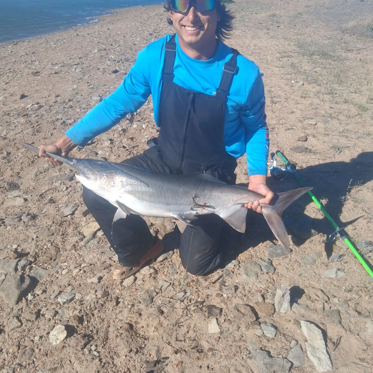 The most recent Paddlefish catches on Fishbrain