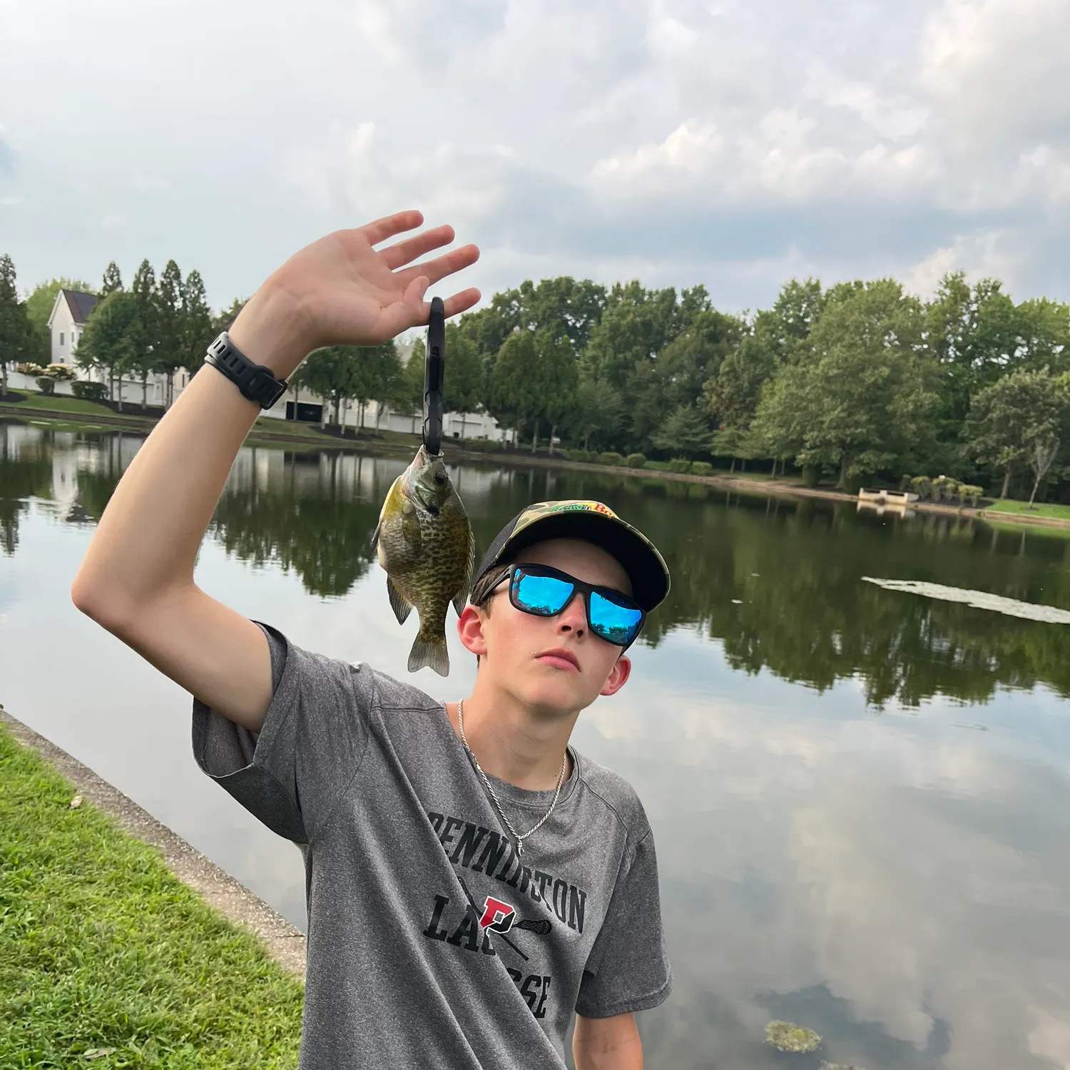Bluegill caught on Fishbrain