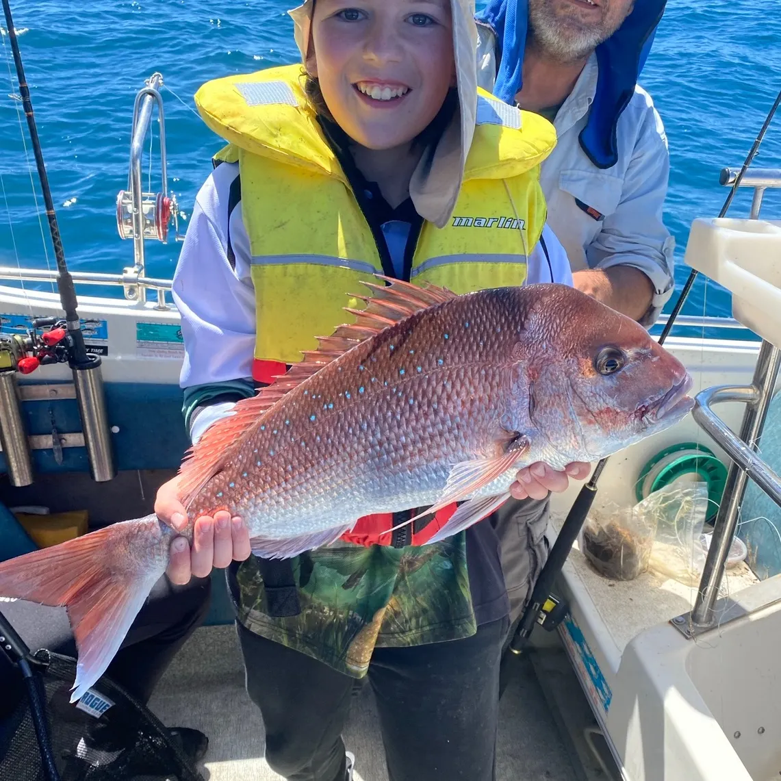 The most recent Australasian snapper catches on Fishbrain