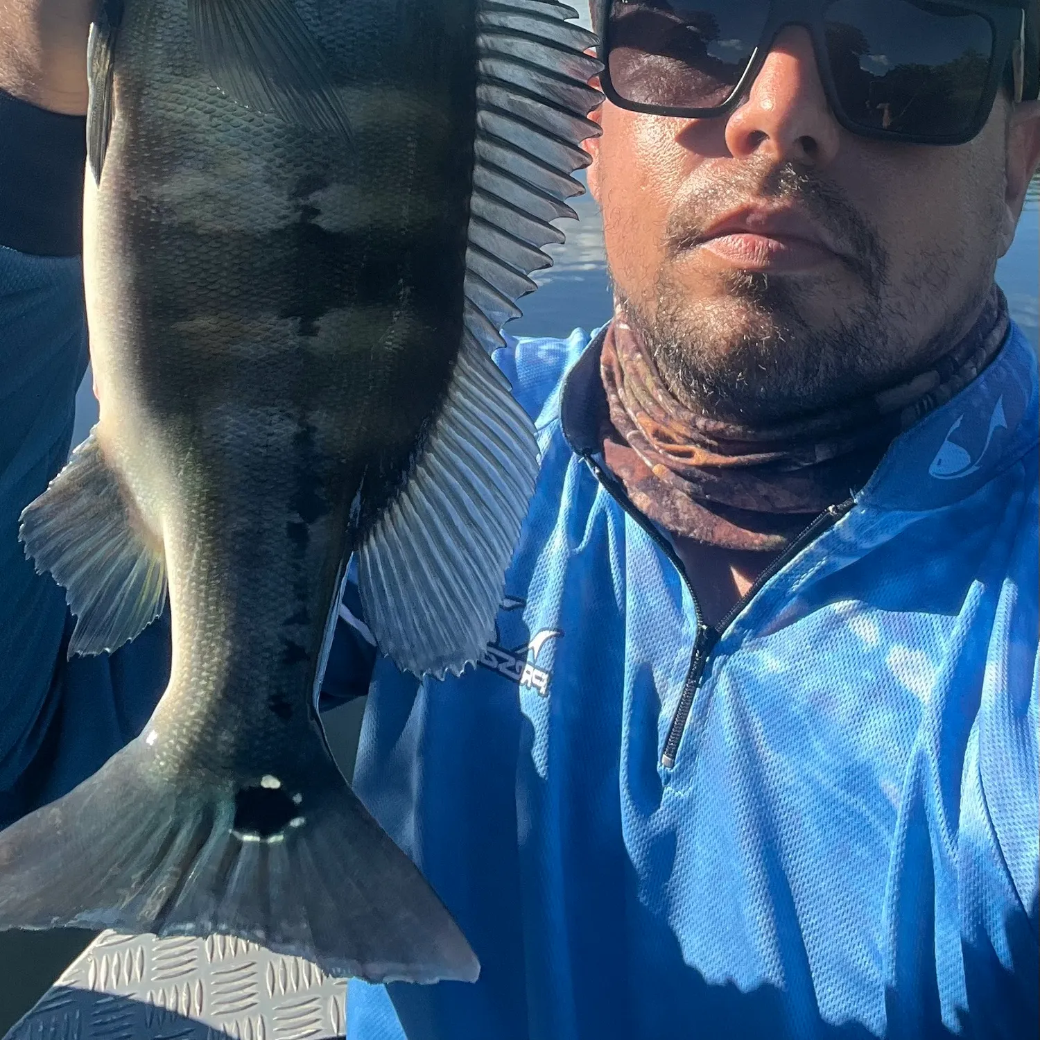 The most recent Blue peacock bass catches on Fishbrain