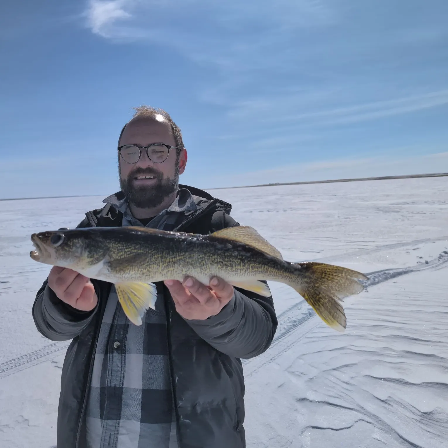 The most recent Walleye catches on Fishbrain