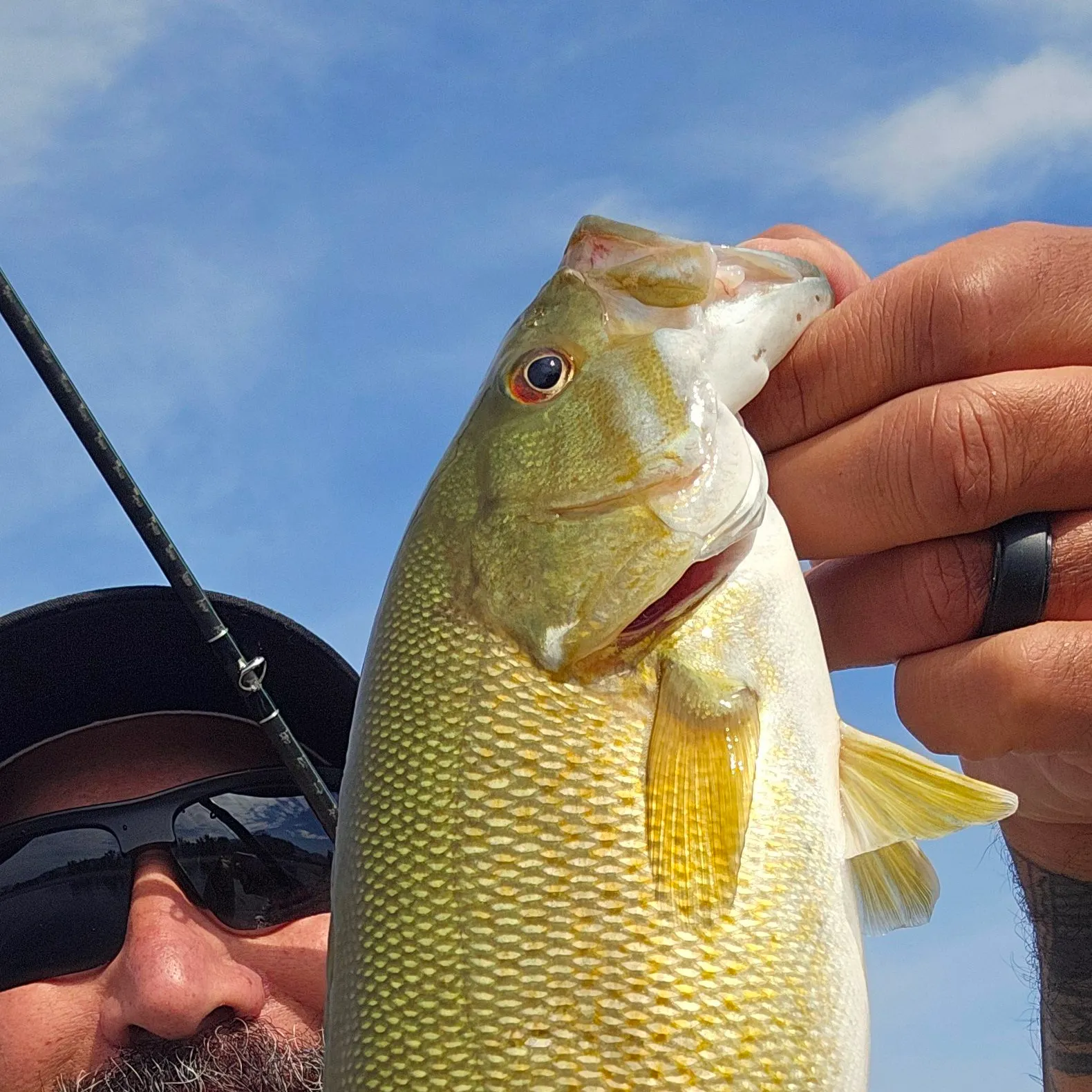 Rainbow trout caught on Fishbrain