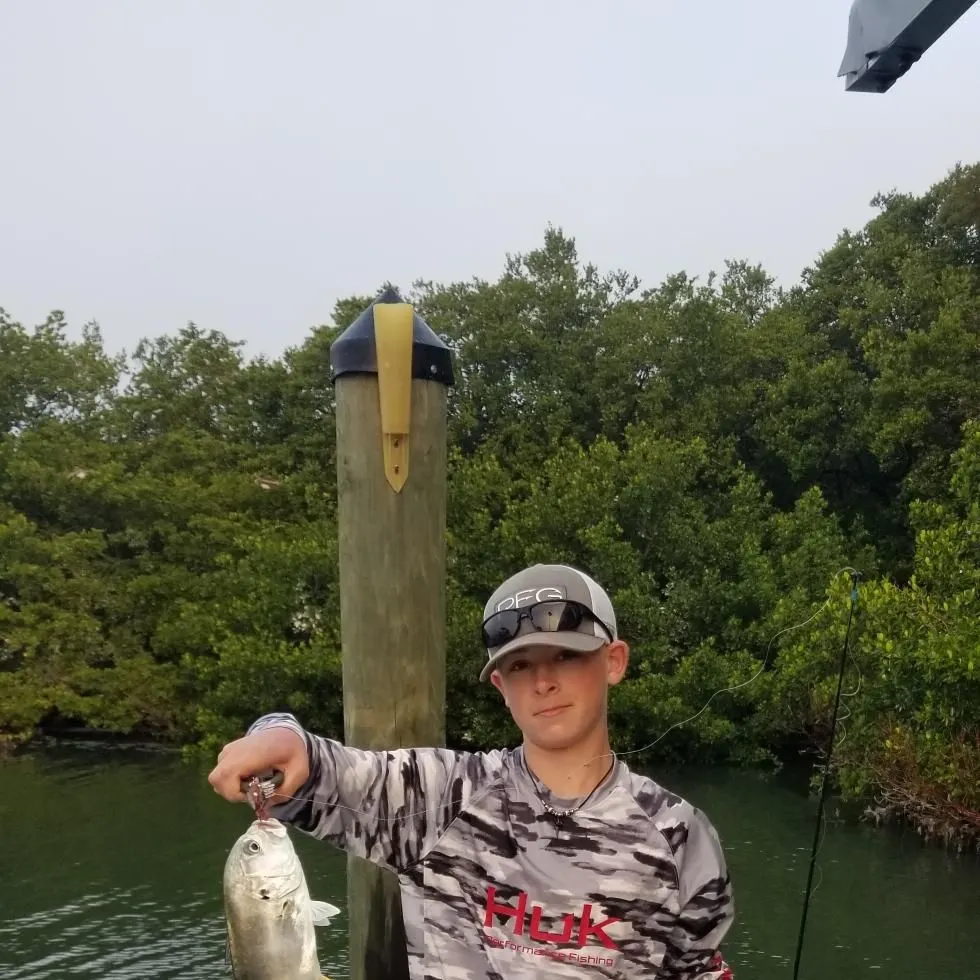 The most recent Pacific crevalle jack catches on Fishbrain