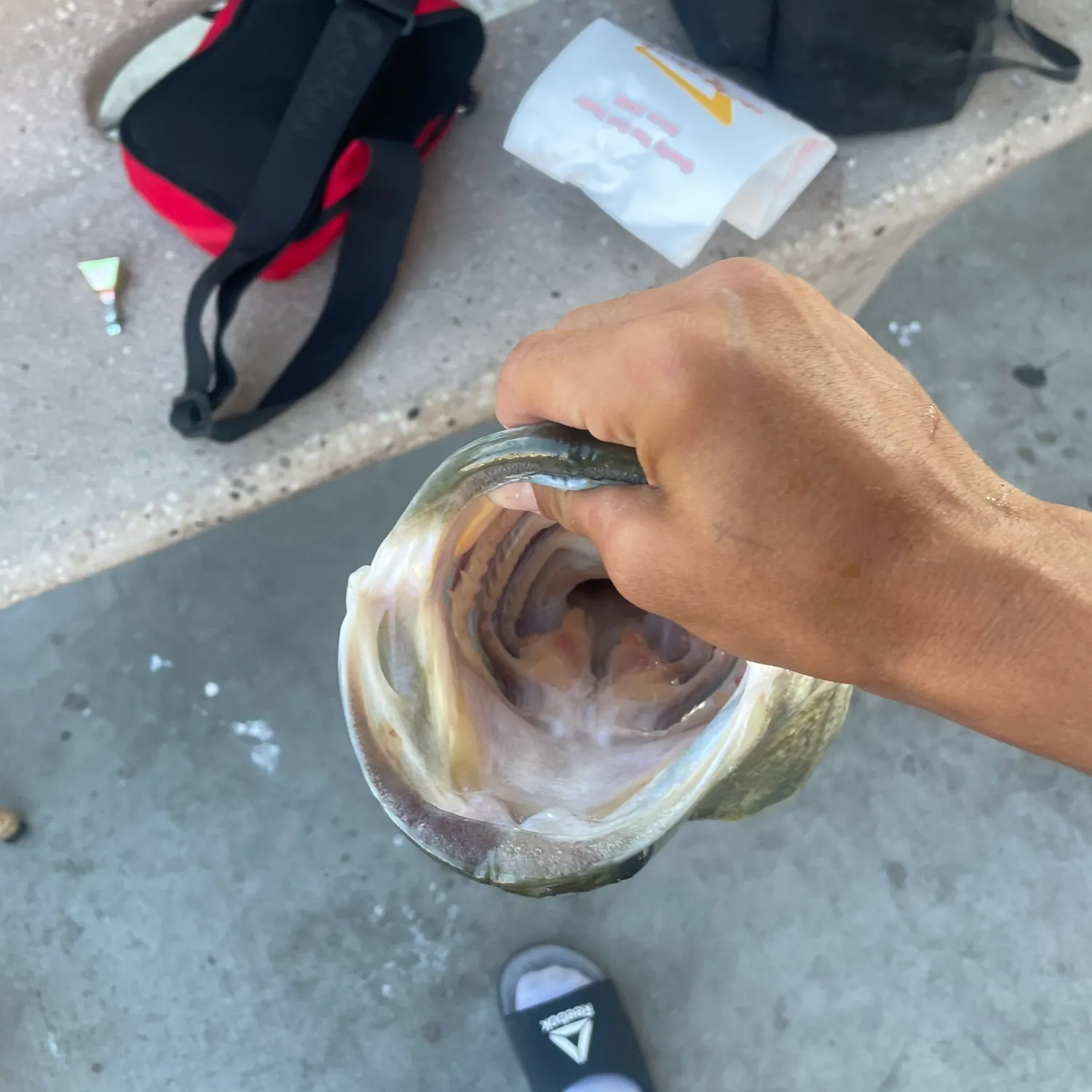 catch