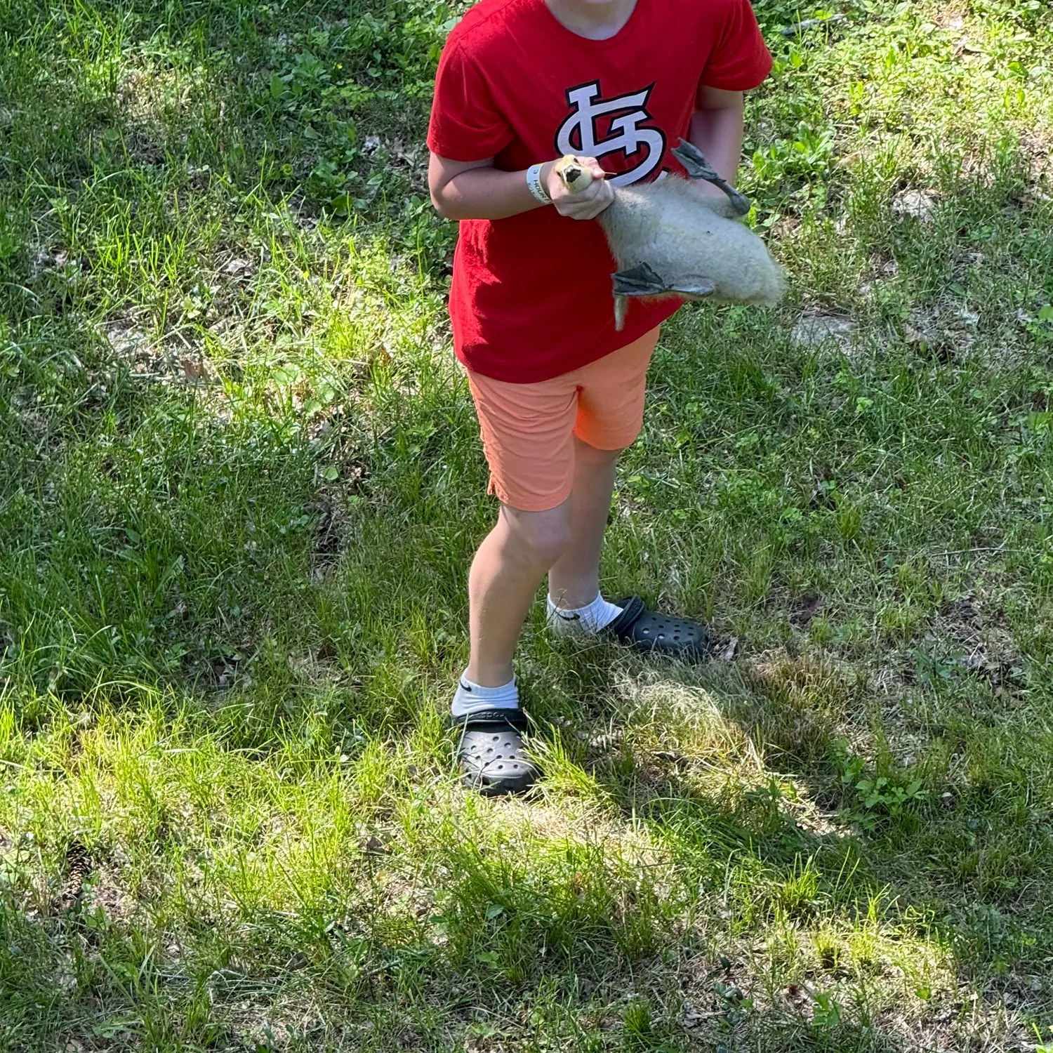 The most recent European eel catches on Fishbrain