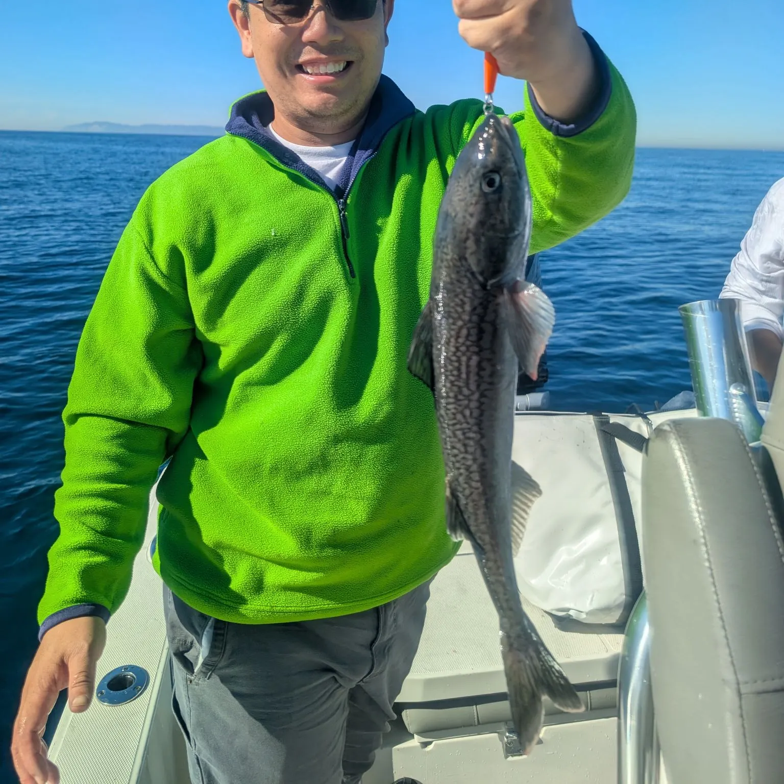 The most recent Sablefish catches on Fishbrain