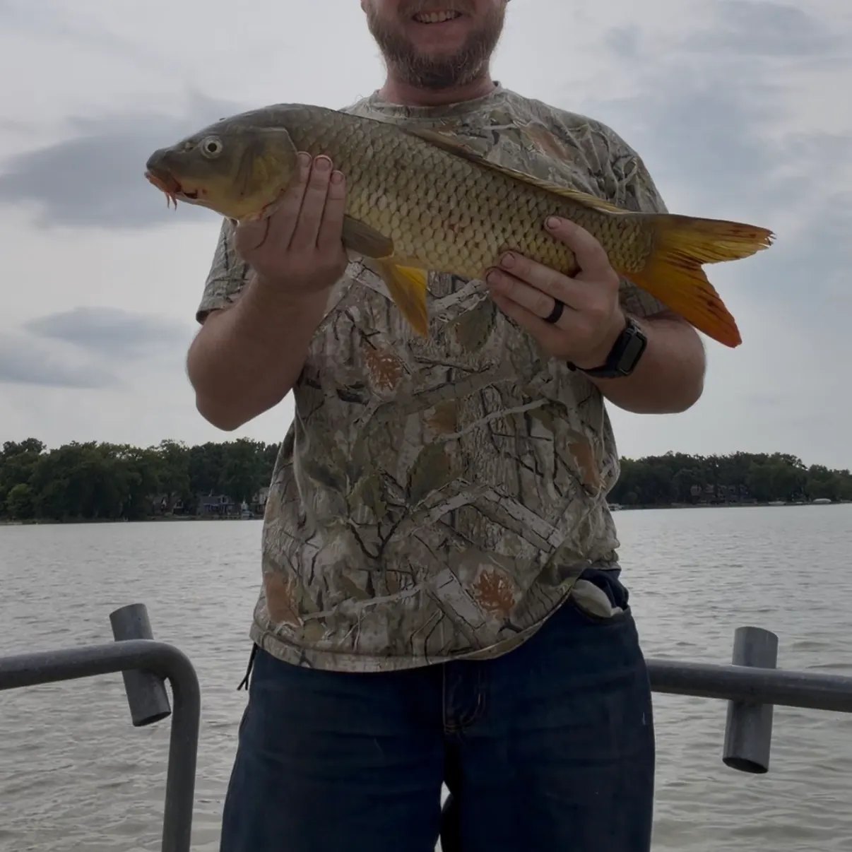 Common carp caught on Fishbrain