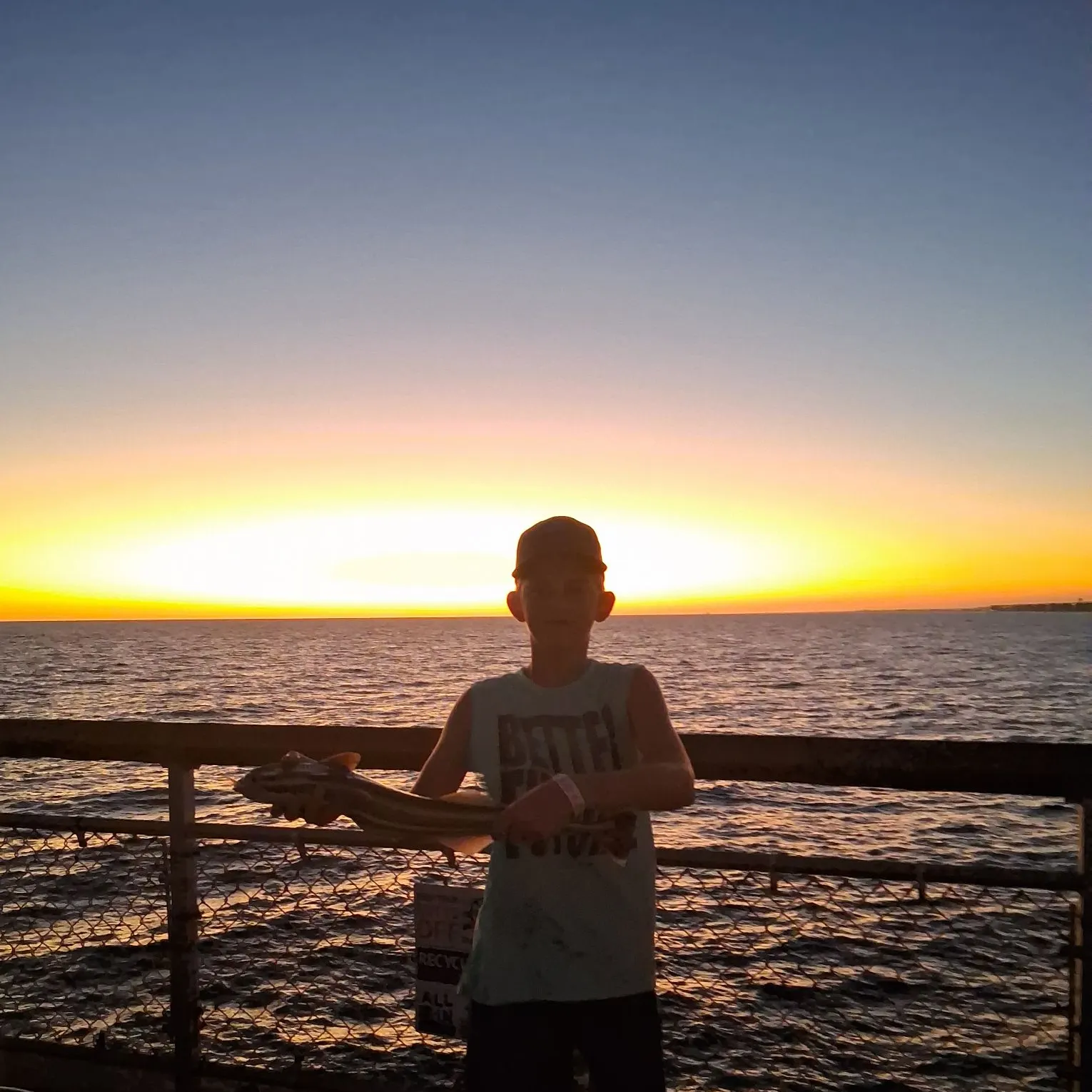 The most recent Common remora catches on Fishbrain