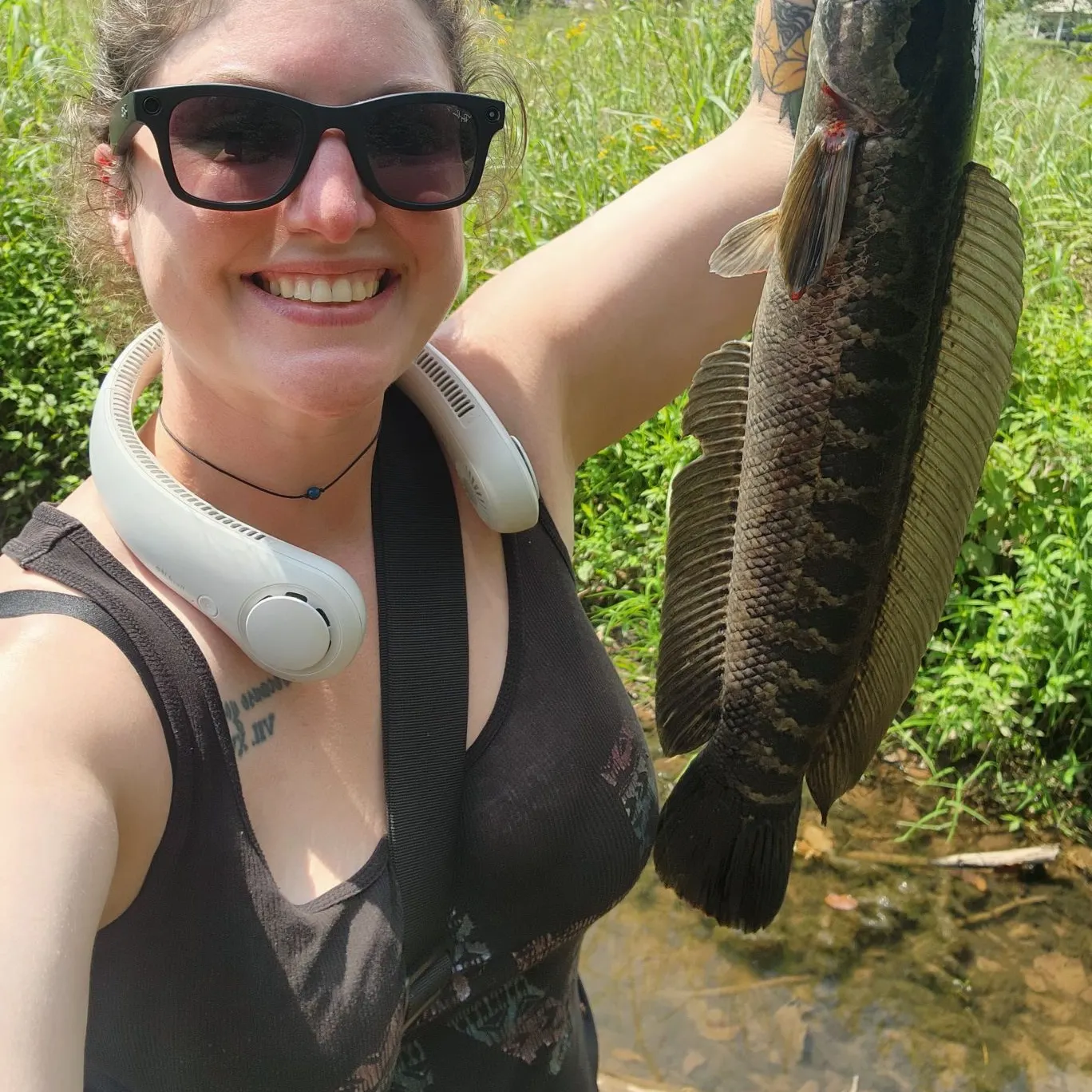 Northern snakehead caught on Fishbrain