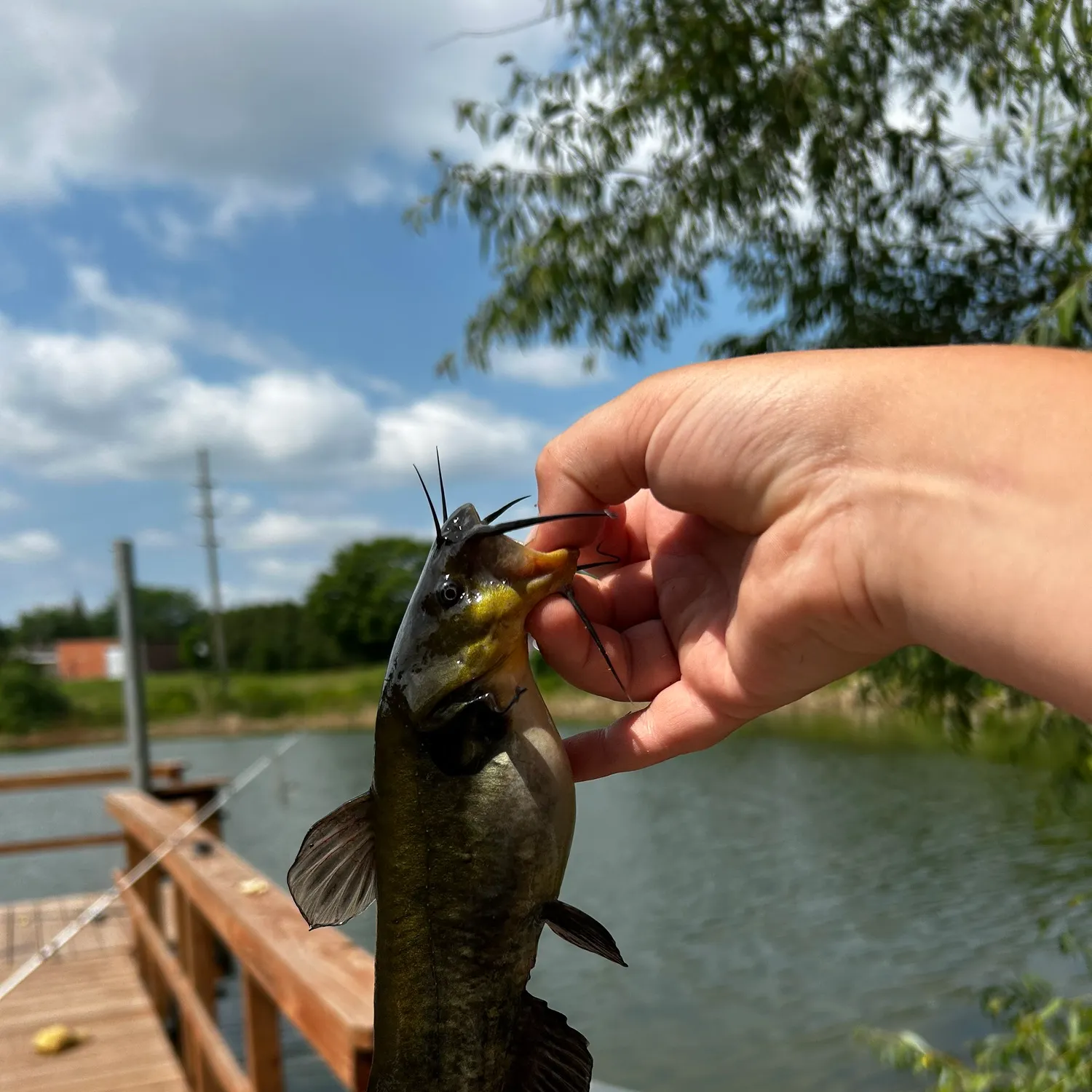 catch