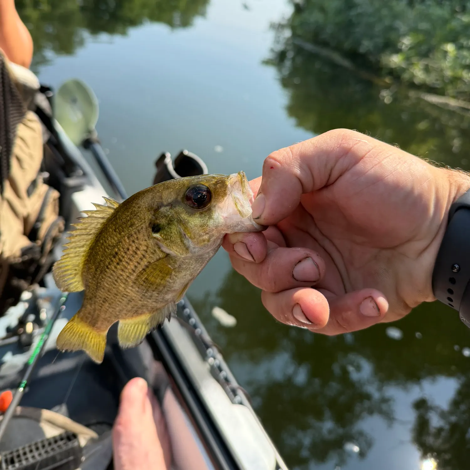 catch