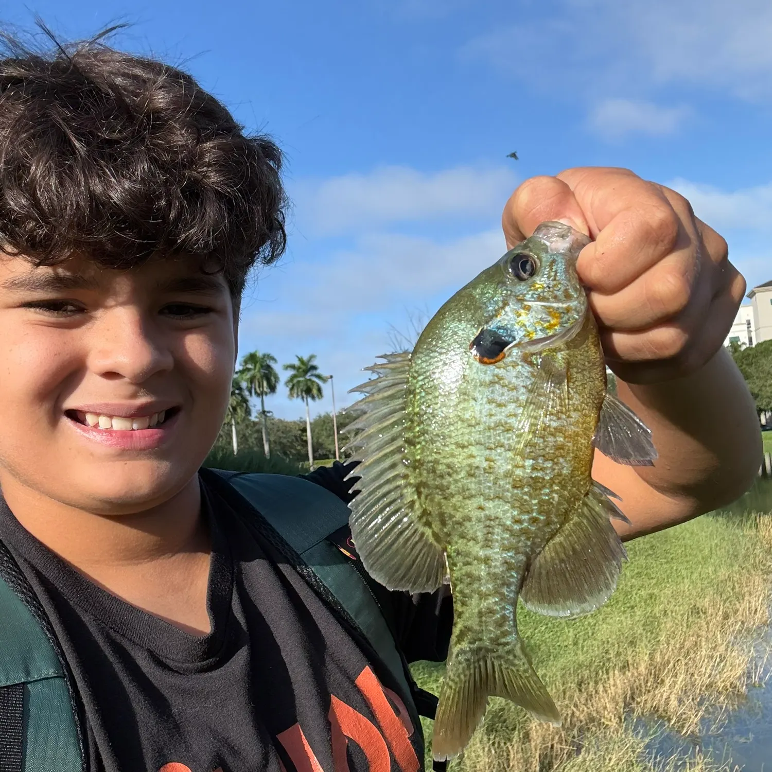 The most recent Northern sunfish catches on Fishbrain