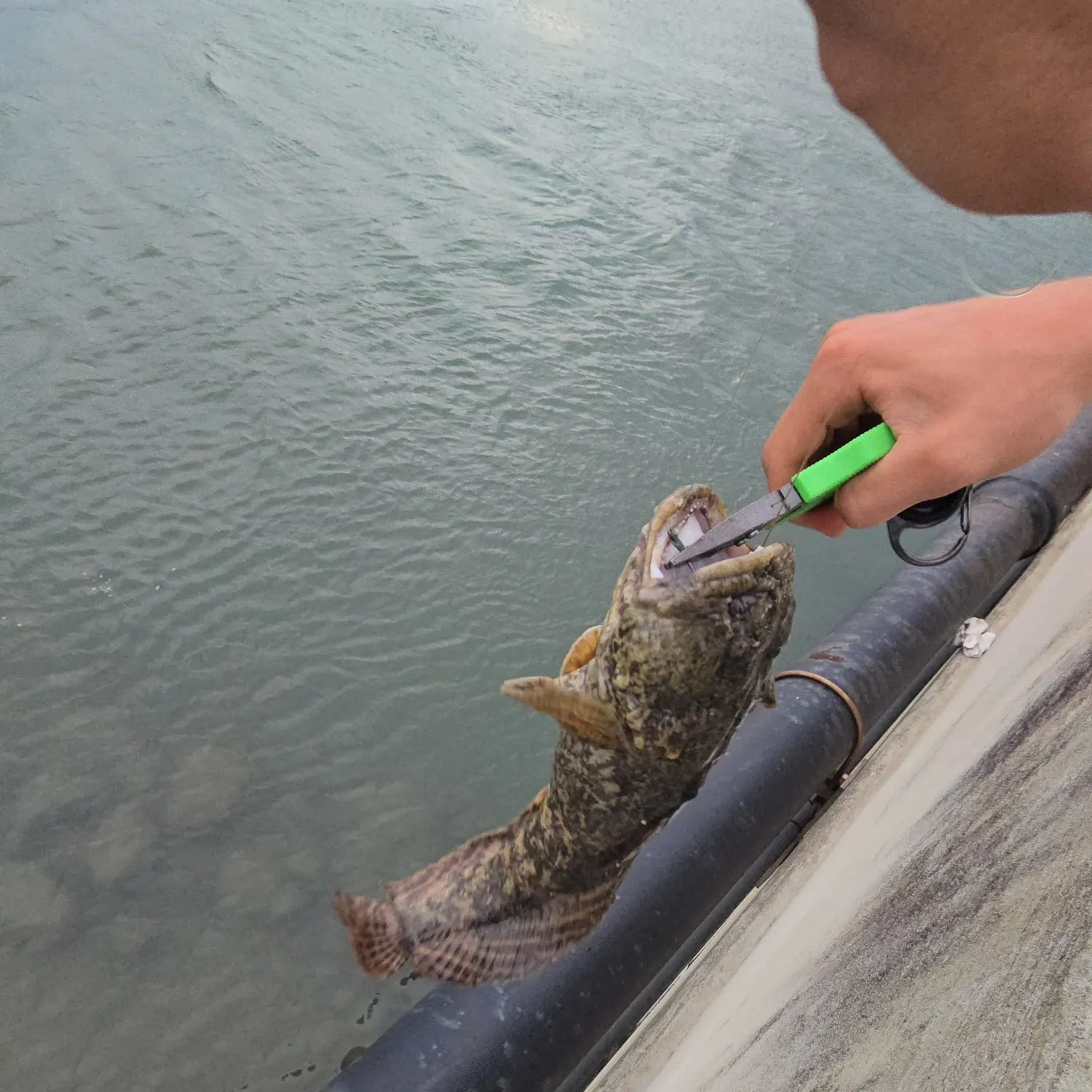 catch