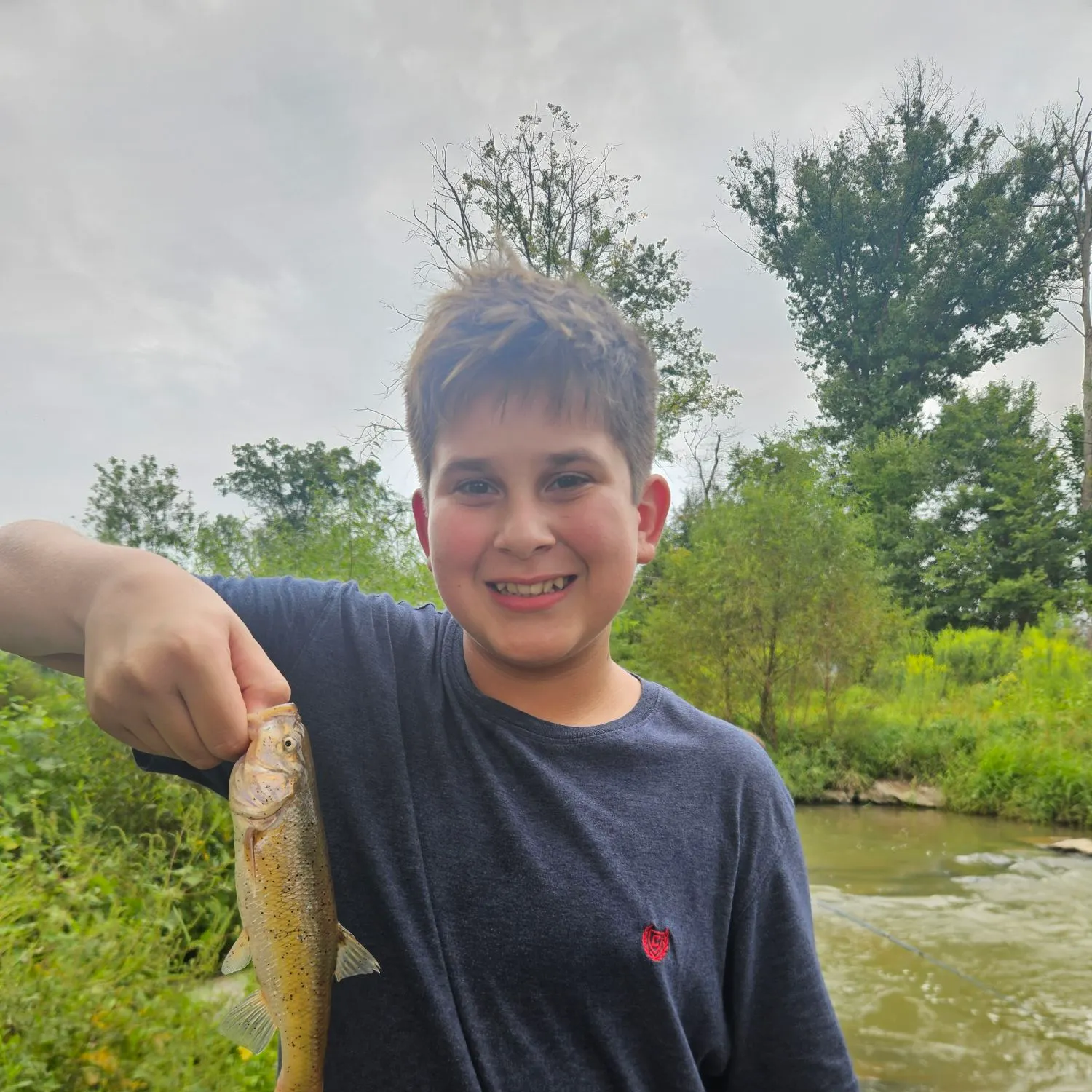 Creek chub caught on Fishbrain