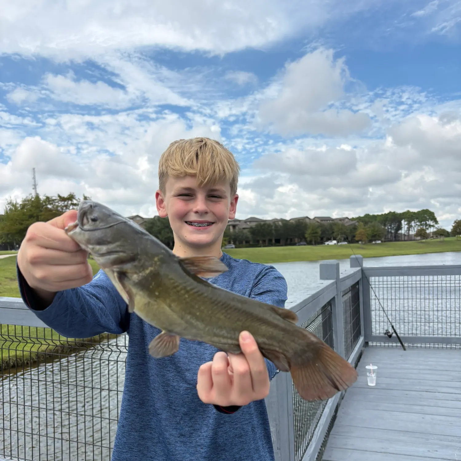 Yellow bullhead caught on Fishbrain