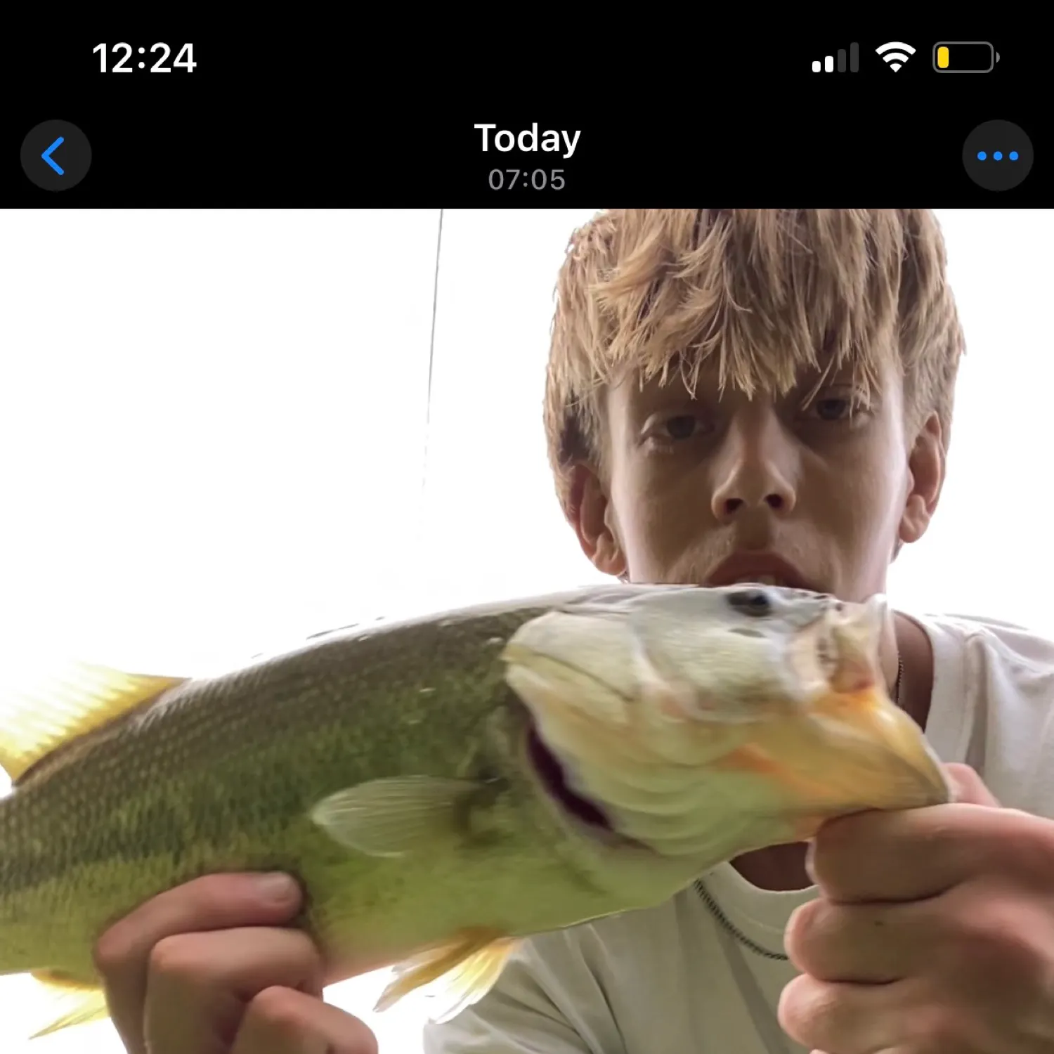 recently logged catches