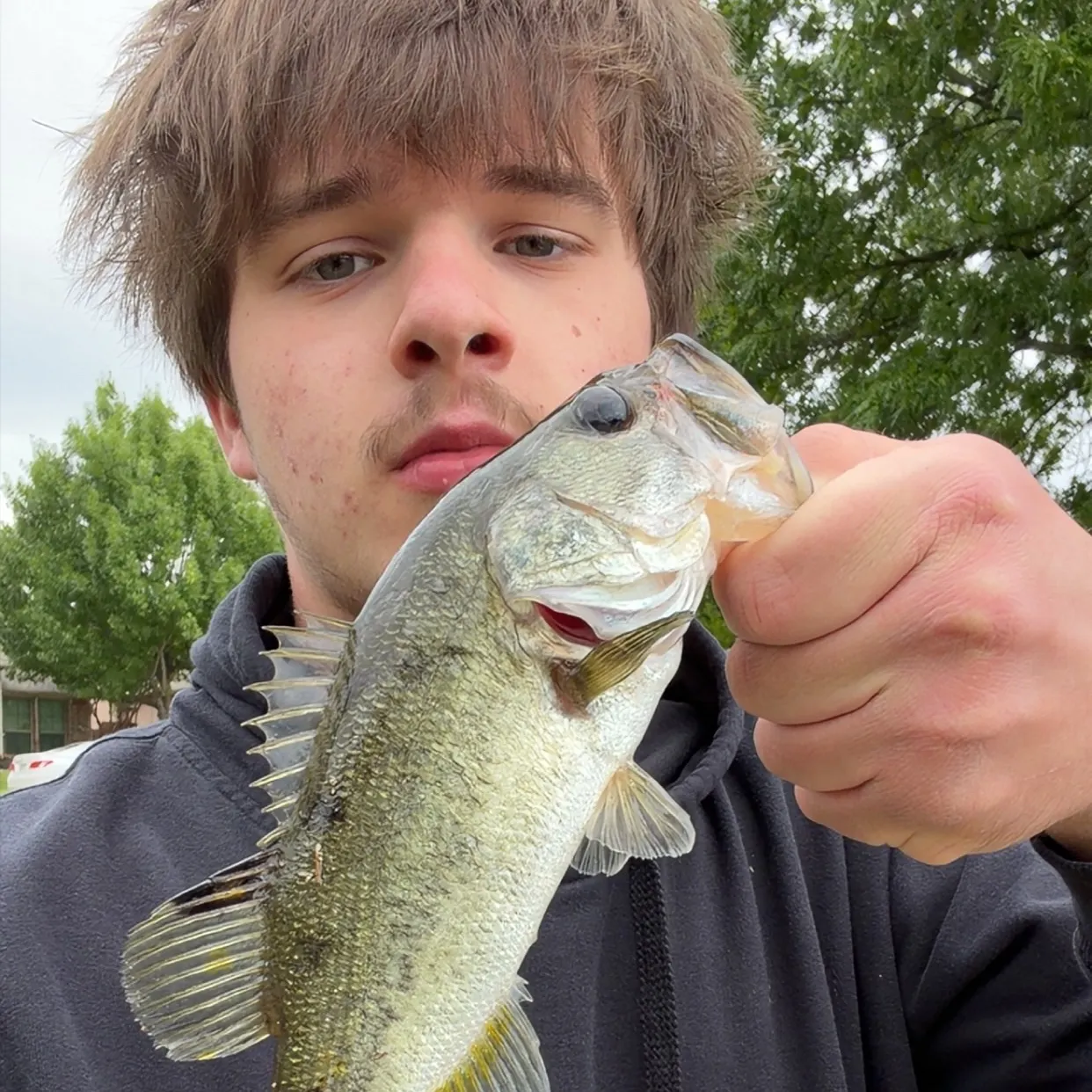 The most recent Largemouth bass catches on Fishbrain
