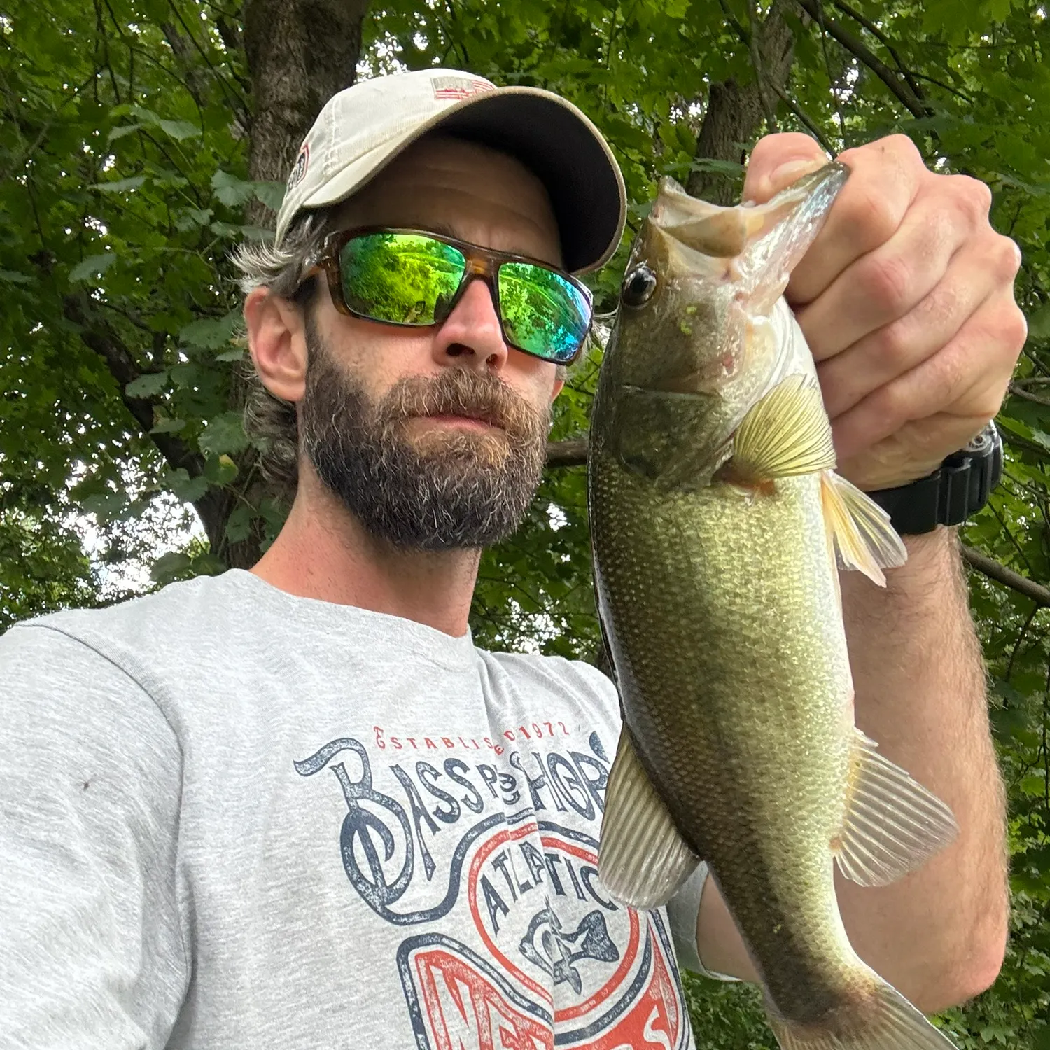 Largemouth bass caught on Fishbrain