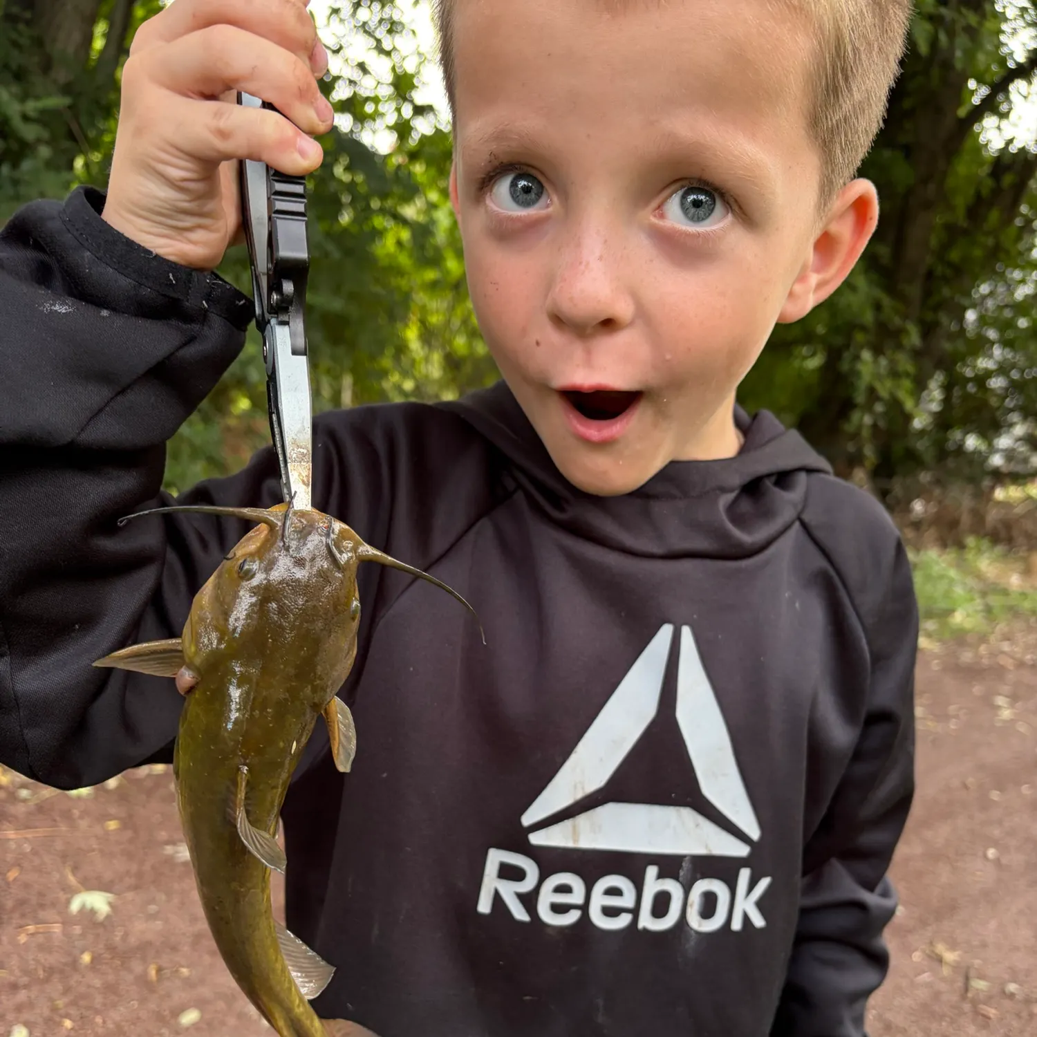 Yellow bullhead caught on Fishbrain