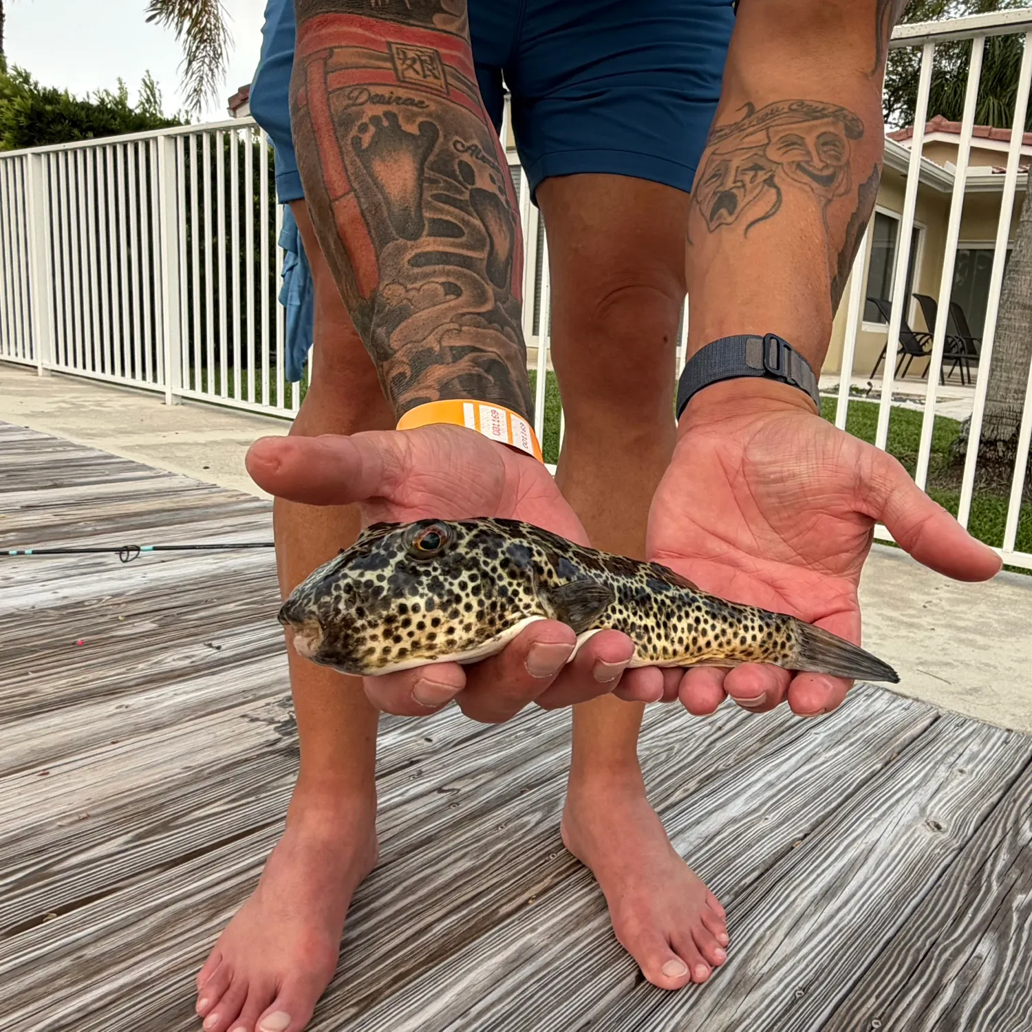 recently logged catches