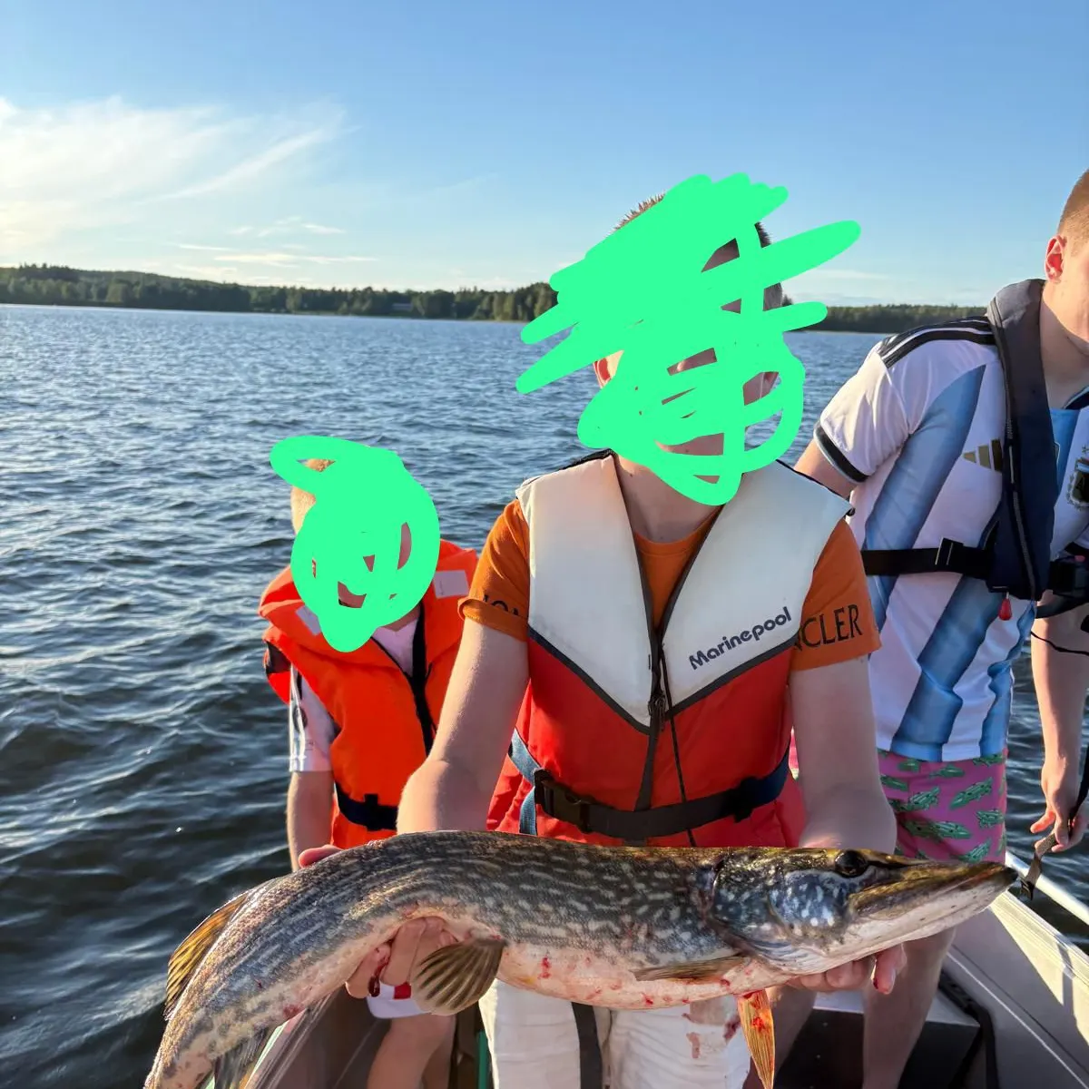 Northern pike caught on Fishbrain