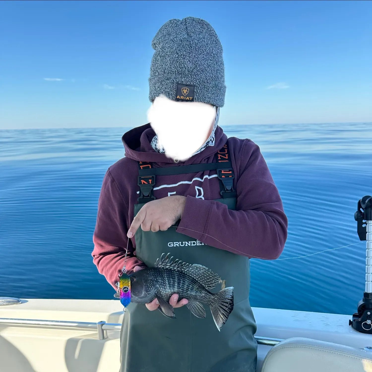 The most recent Black sea bass catches on Fishbrain