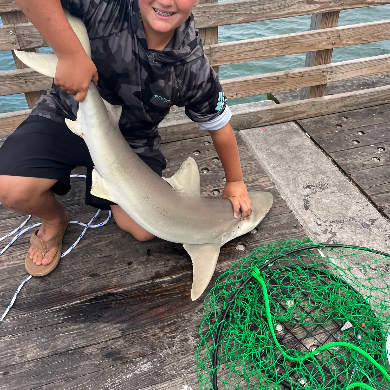 Sandbar shark caught on Fishbrain