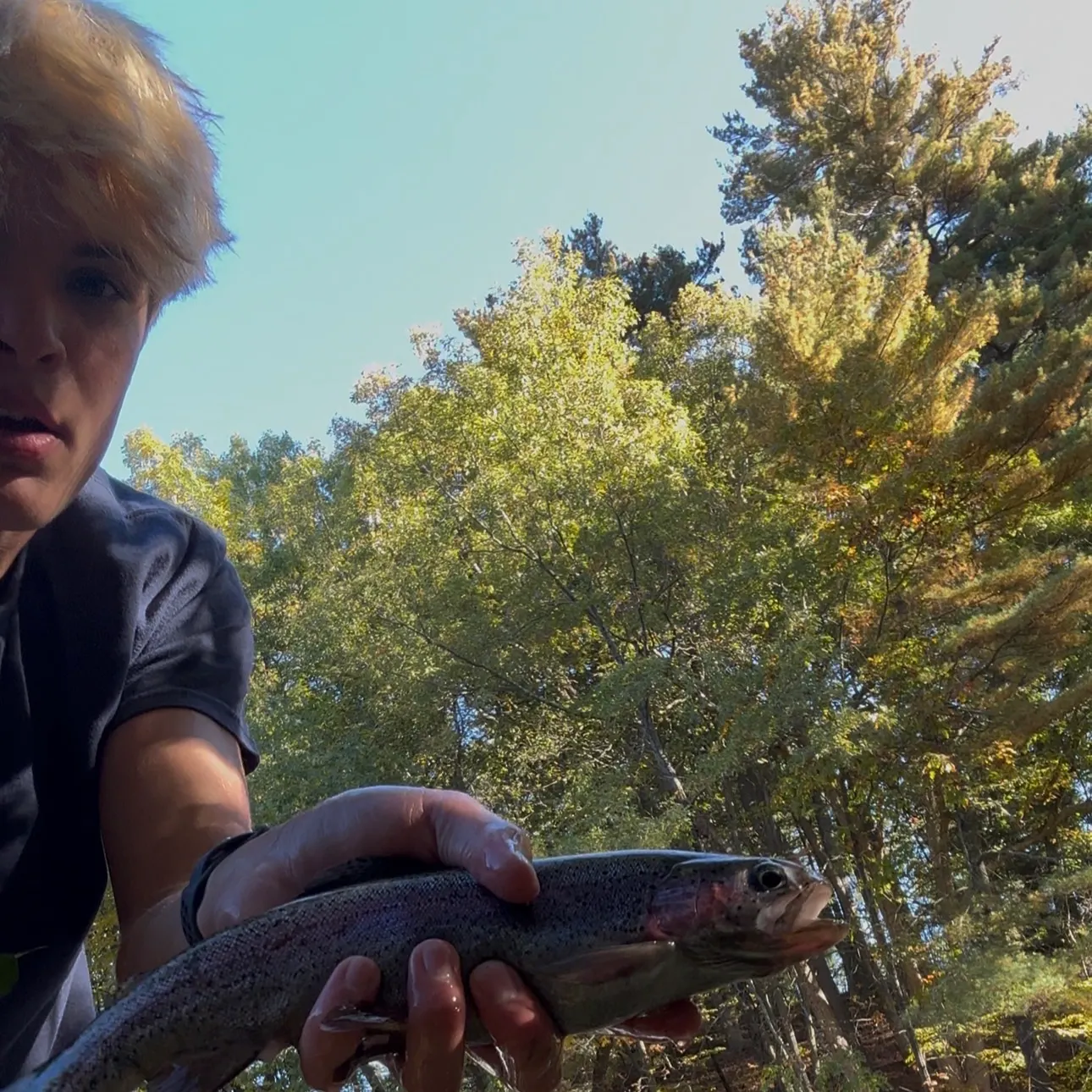 Rainbow trout caught on Fishbrain