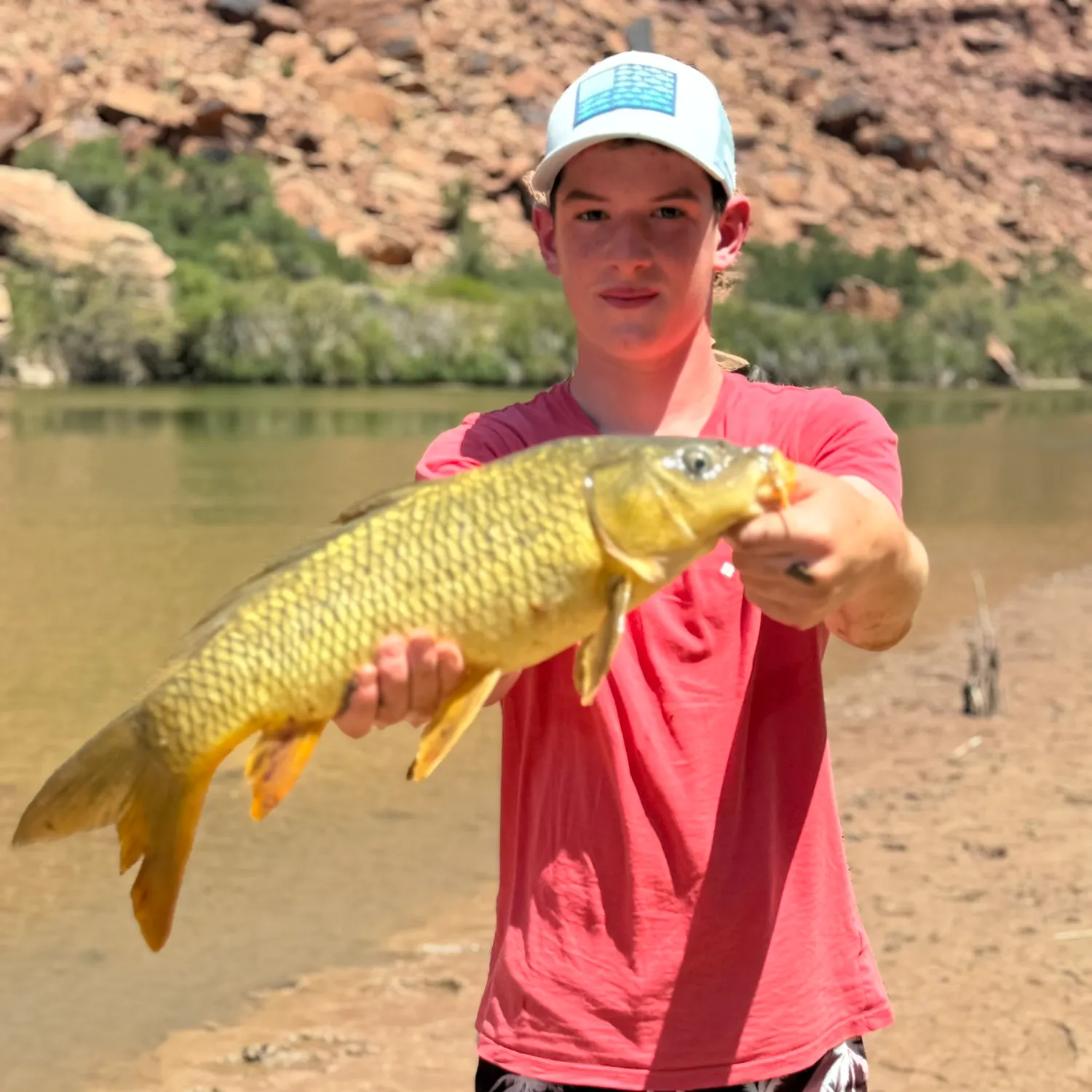 The most recent Common carp catches on Fishbrain