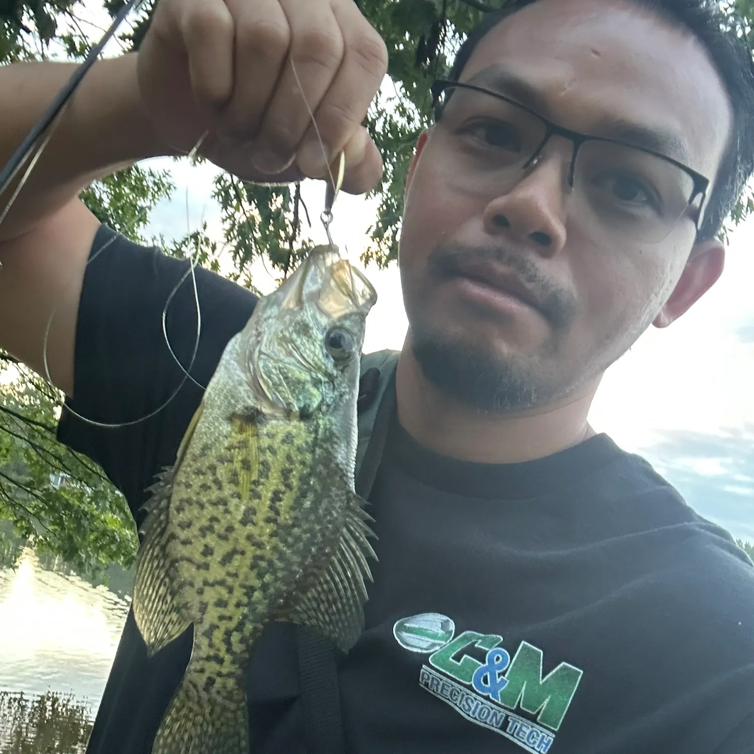 Black crappie caught on Fishbrain