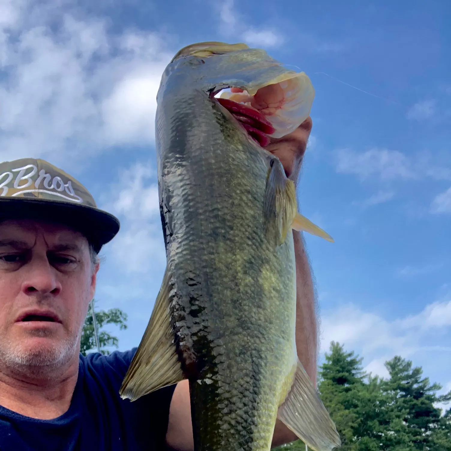Largemouth bass caught on Fishbrain