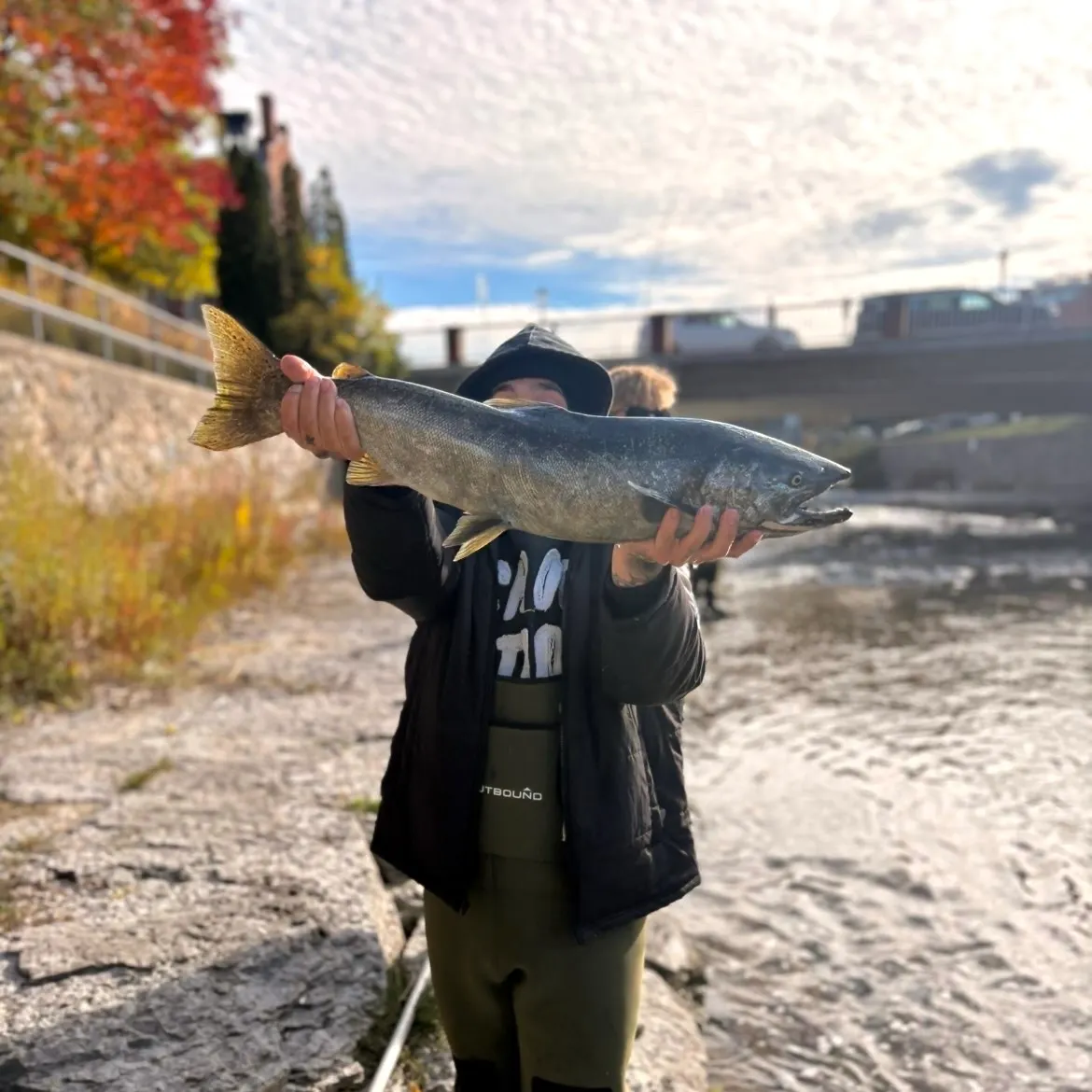 Chinook salmon caught on Fishbrain