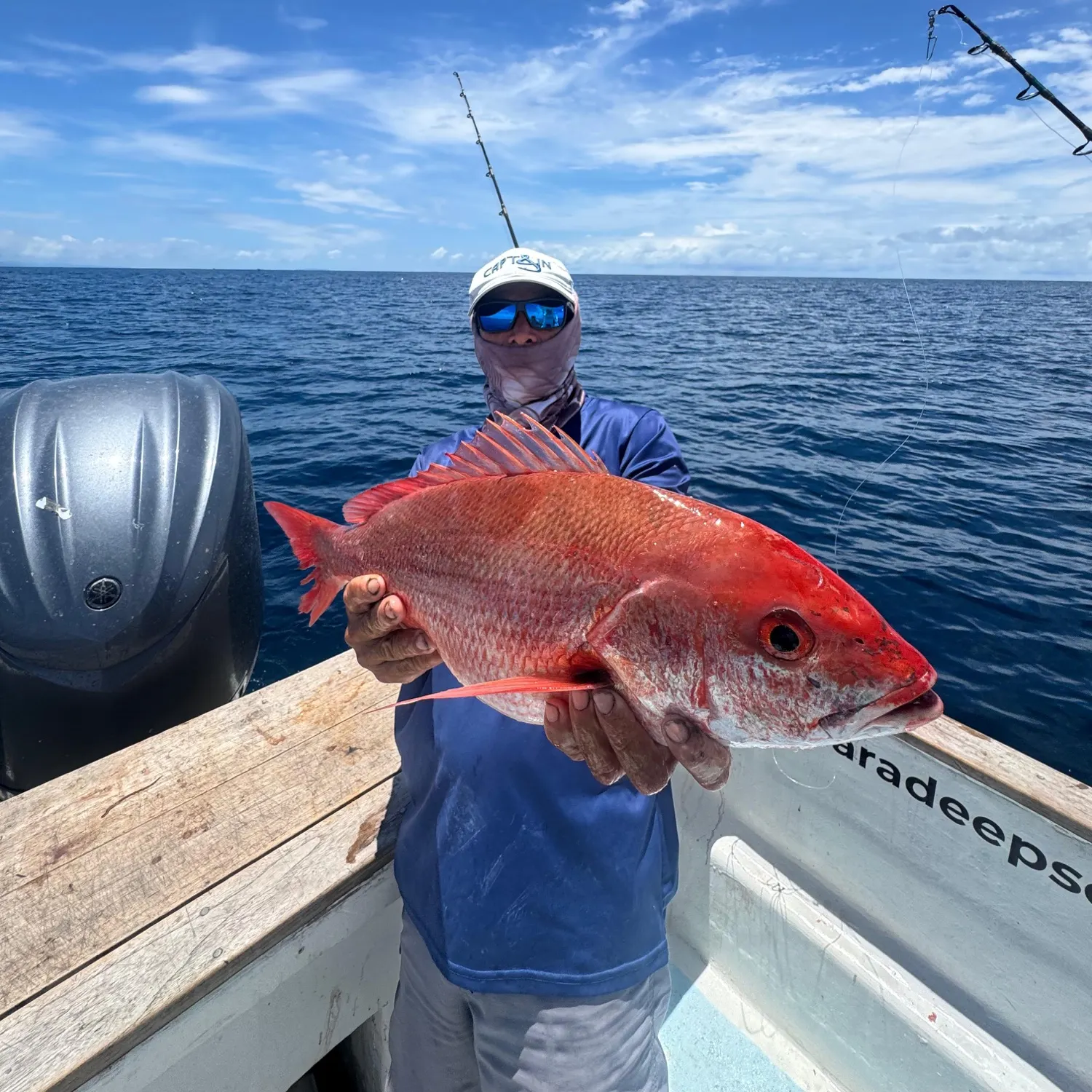 Northern red snapper caught on Fishbrain