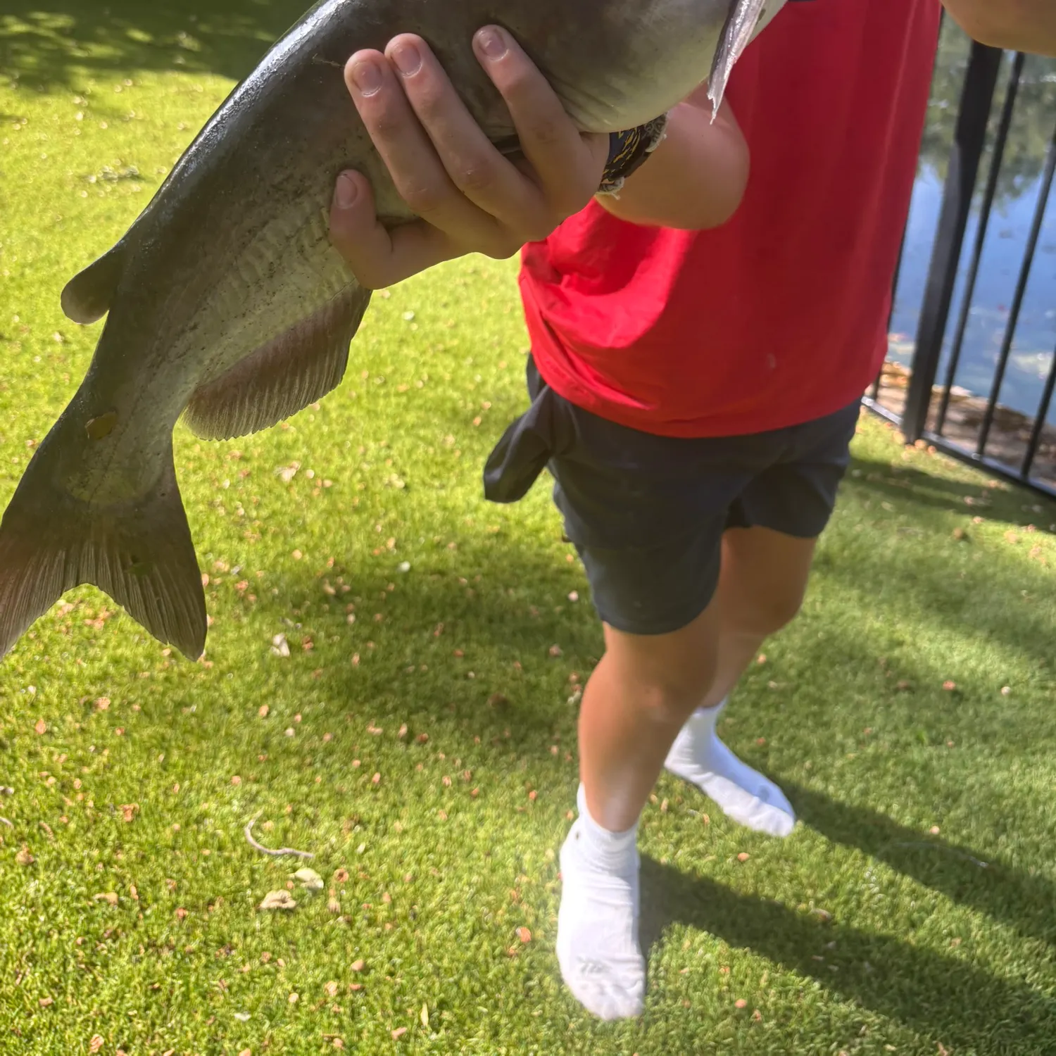 Fish caught on Fishbrain